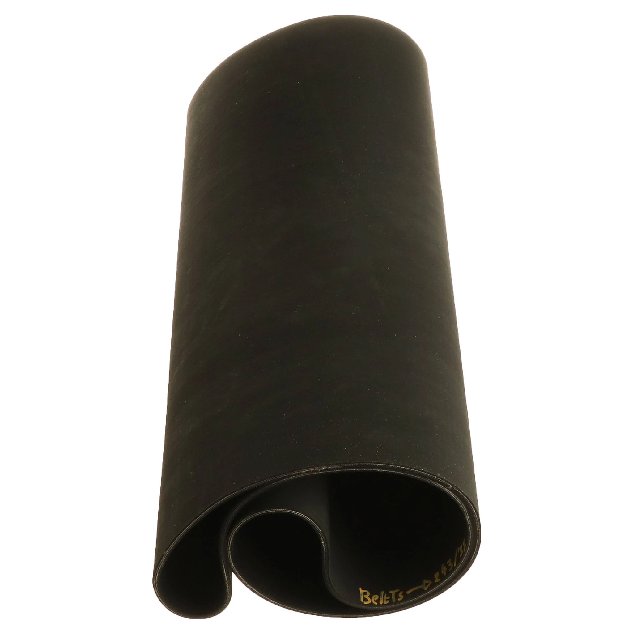 TAPIS ROULANT | CASEIH | CA | FR