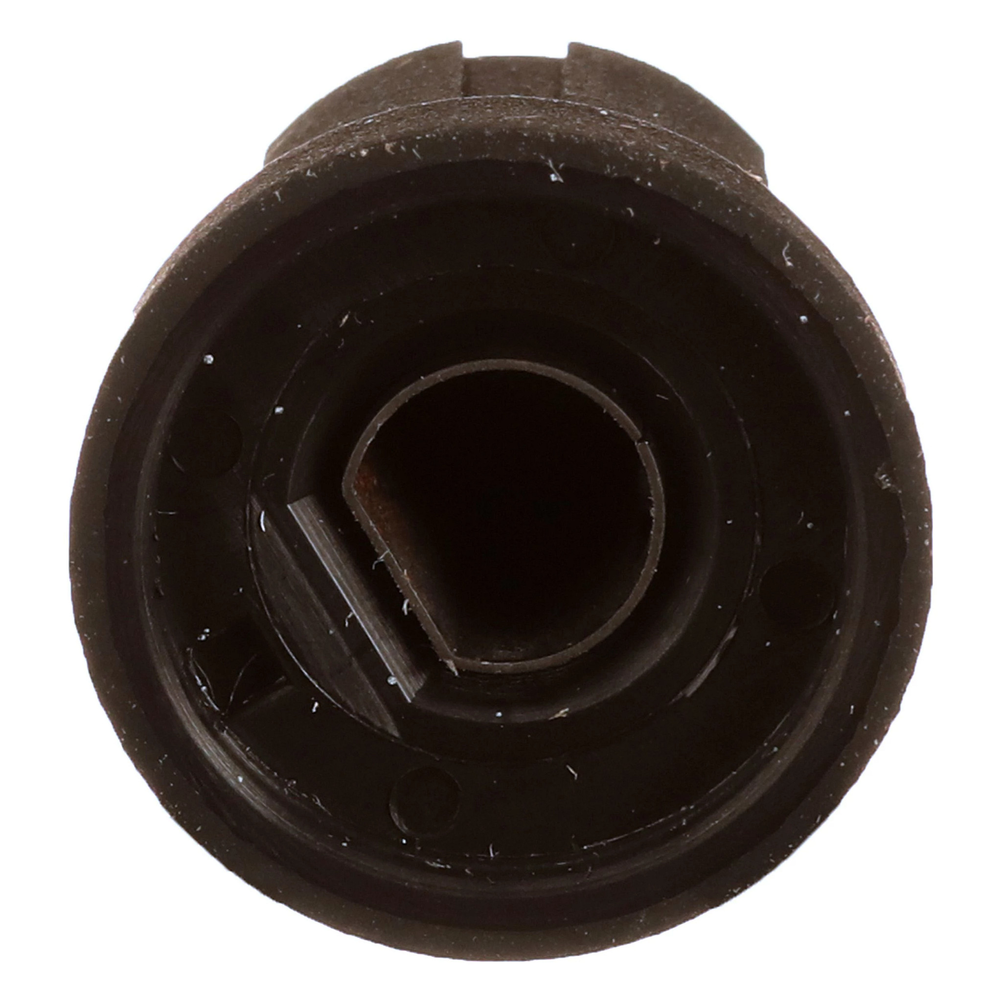 MAÇANETA | CASEIH | SA | PT