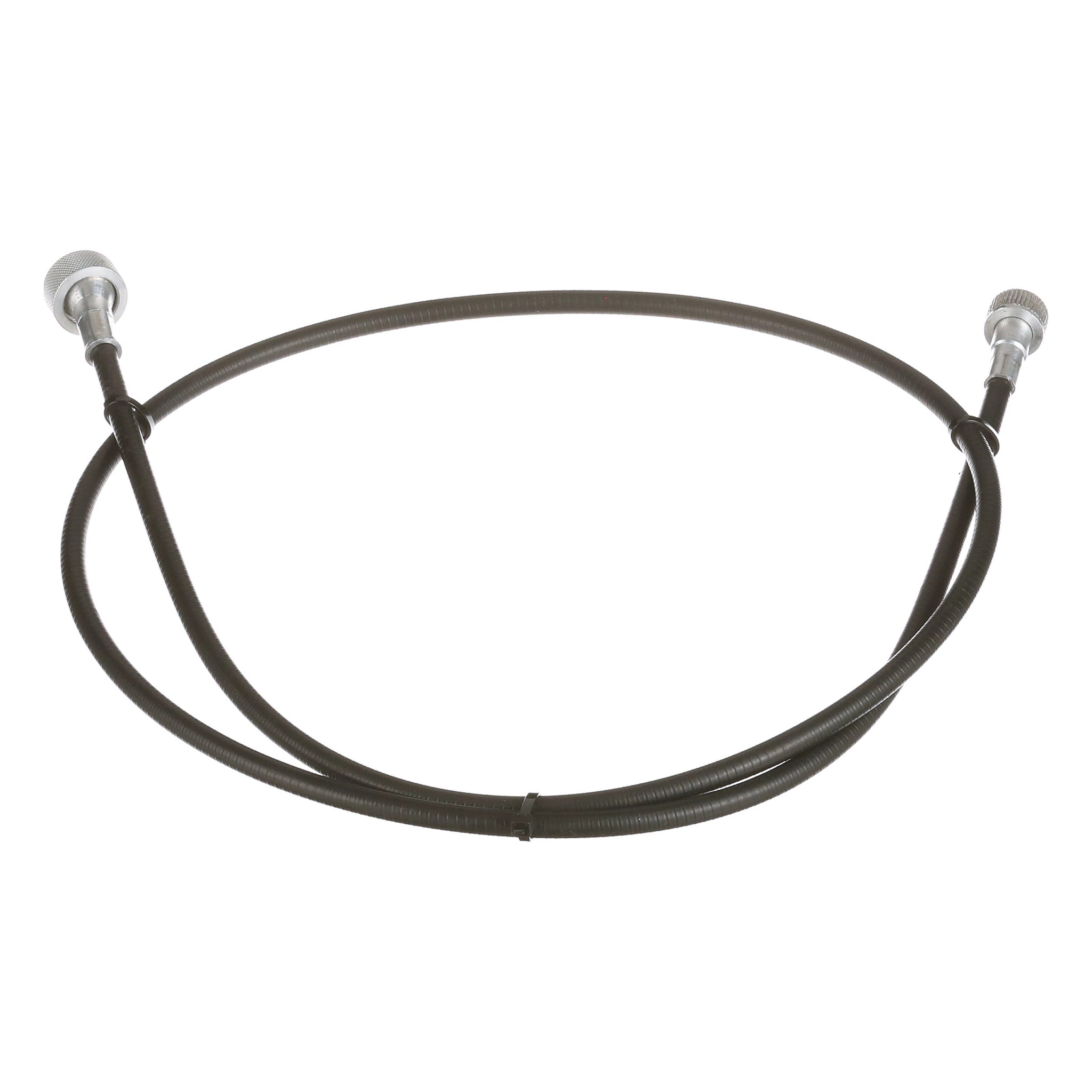 CABO | CASECE | EU | EN