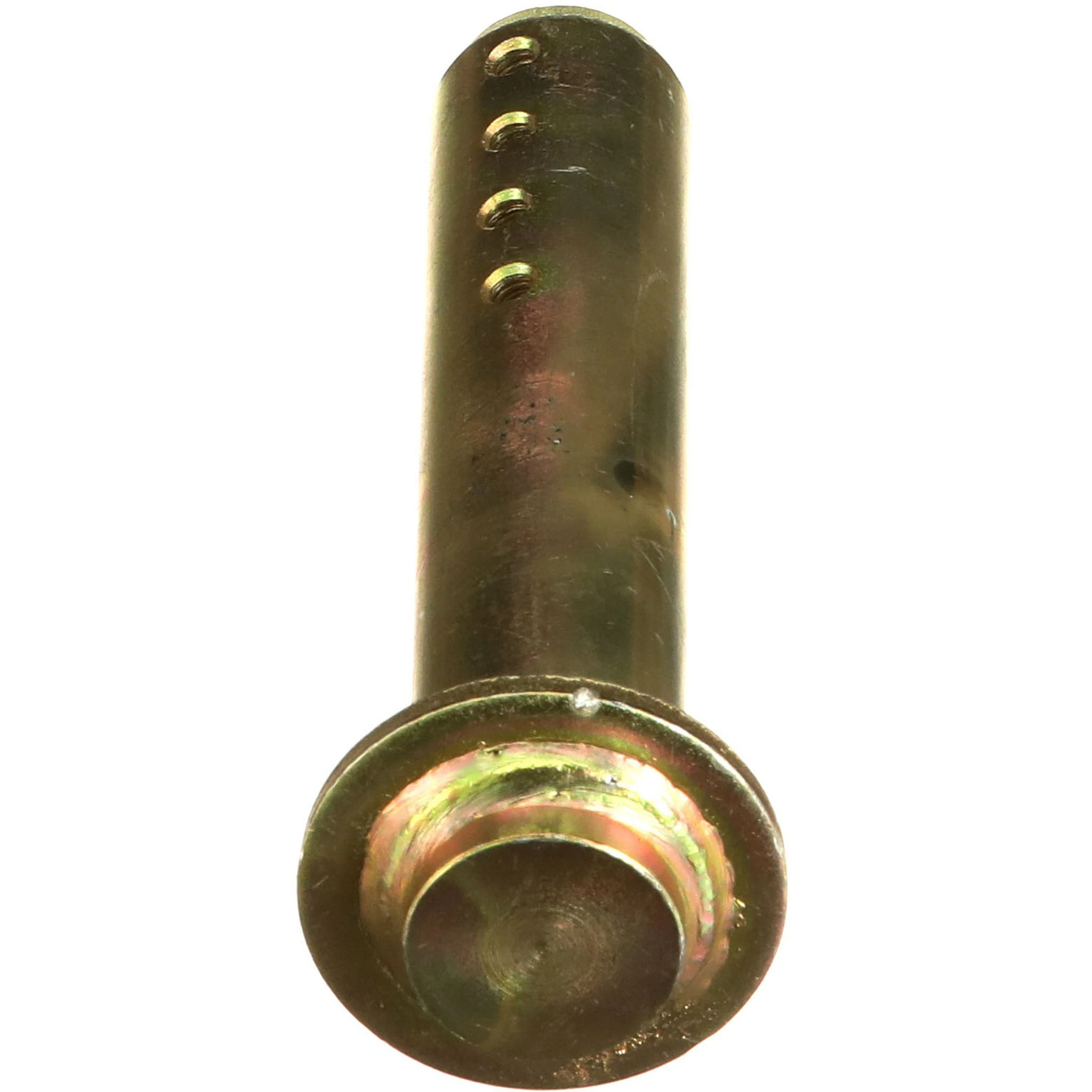 PINO | CASECE | EU | IT