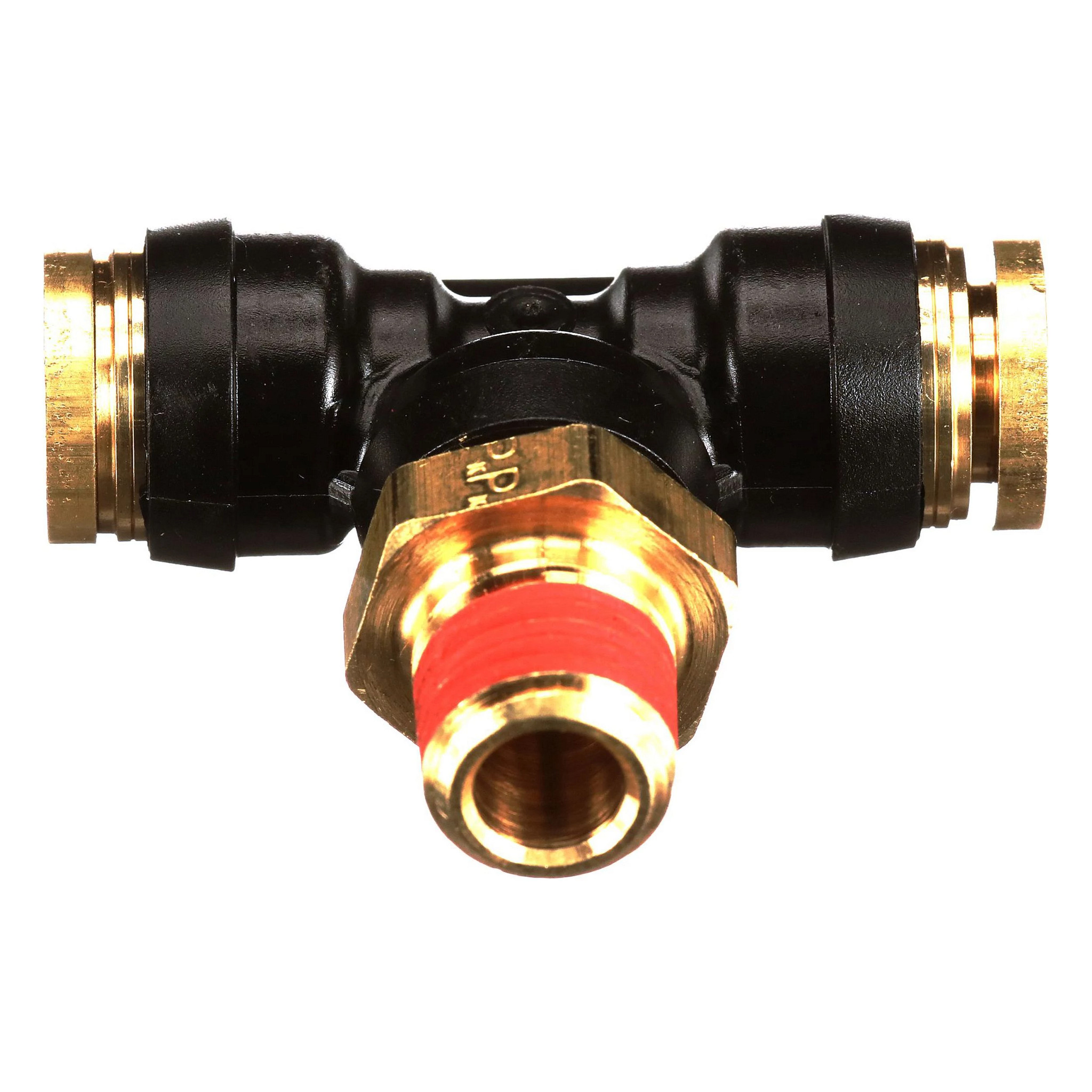 BRANCH TEE | CASECE | CA | EN