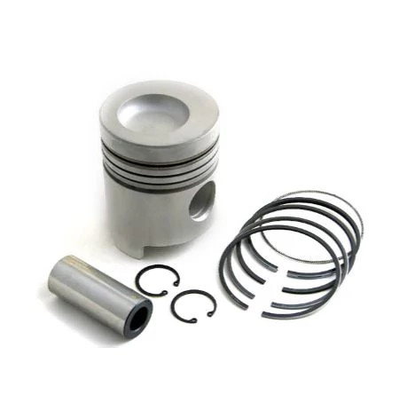 KIT PISTONS SEGMENTS | FLEXICOIL | AMEA | FR