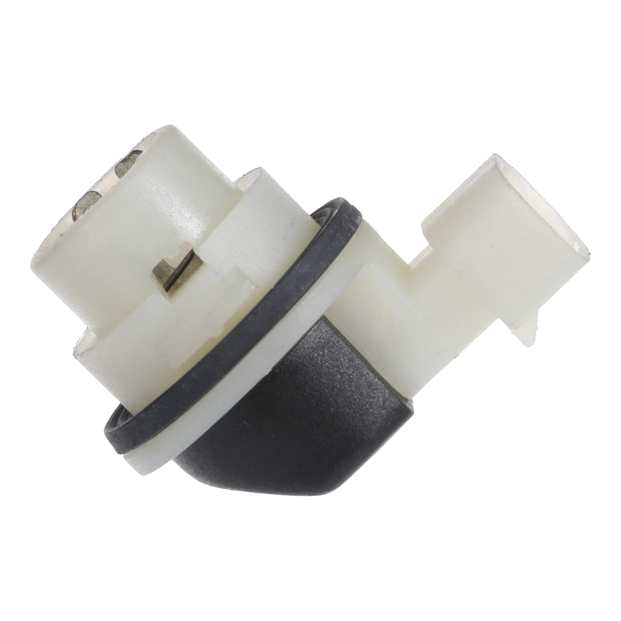 HOLDER | CASECE | US | EN