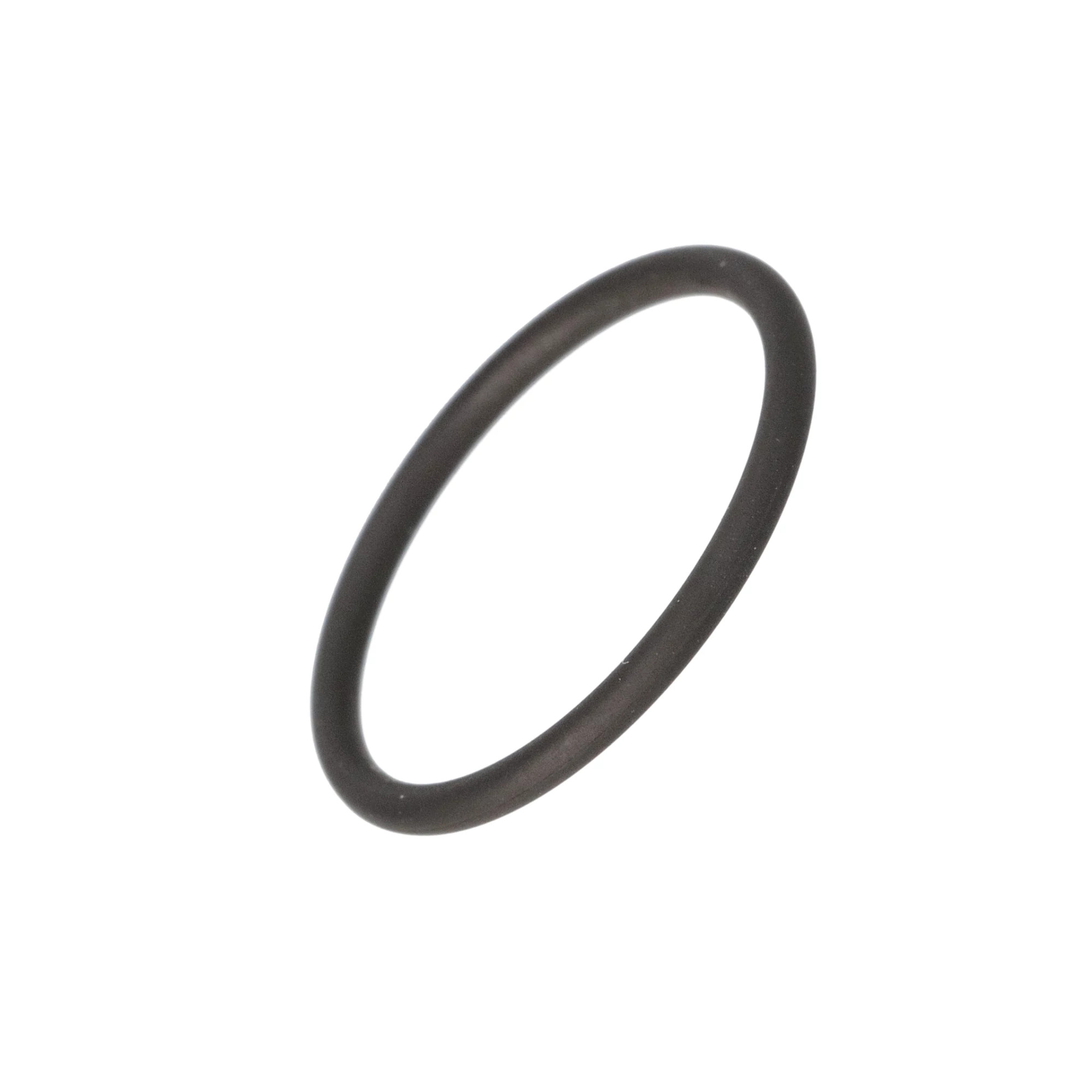 O-RING | CASECE | EU | EN