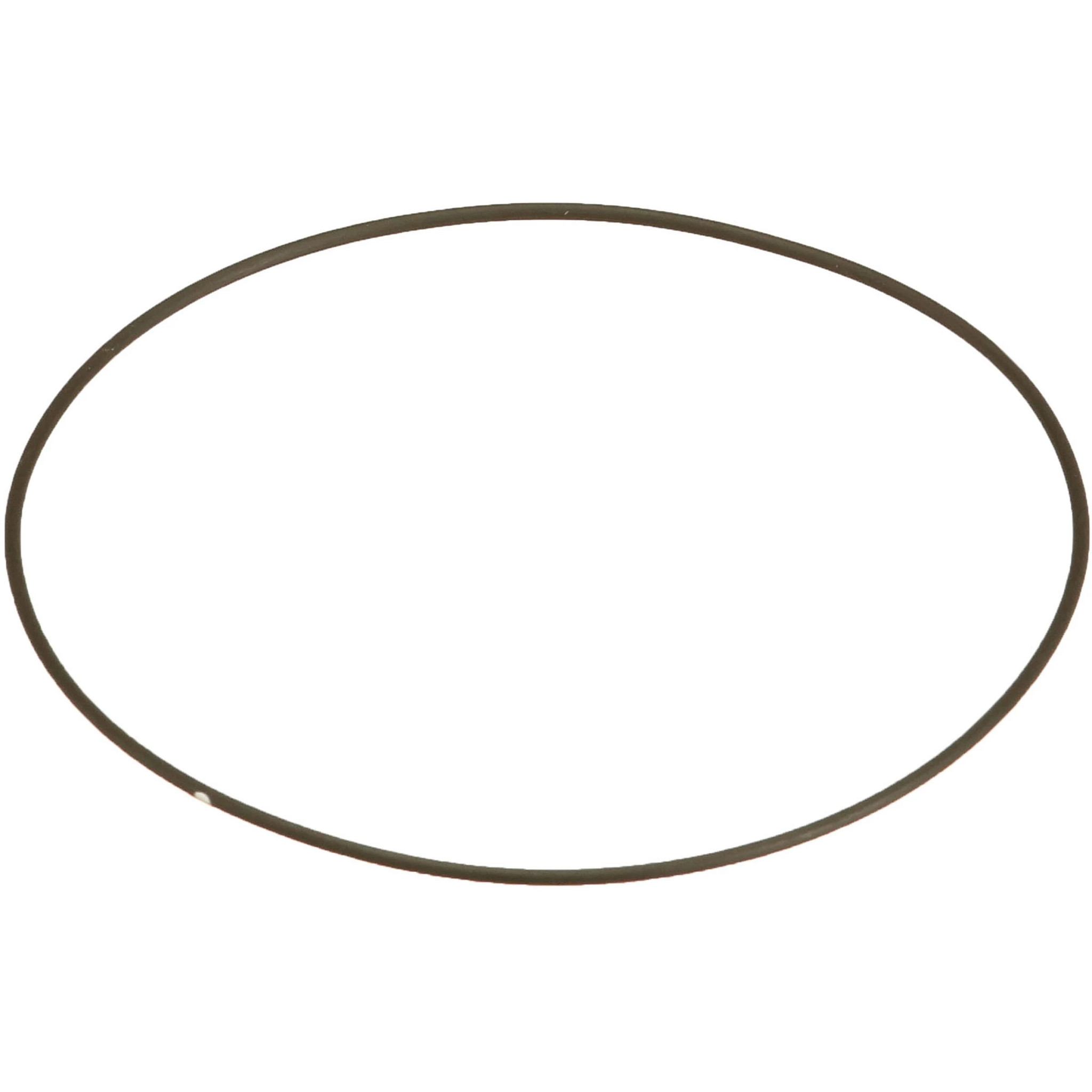 O-RING | CASEIH | CA | EN