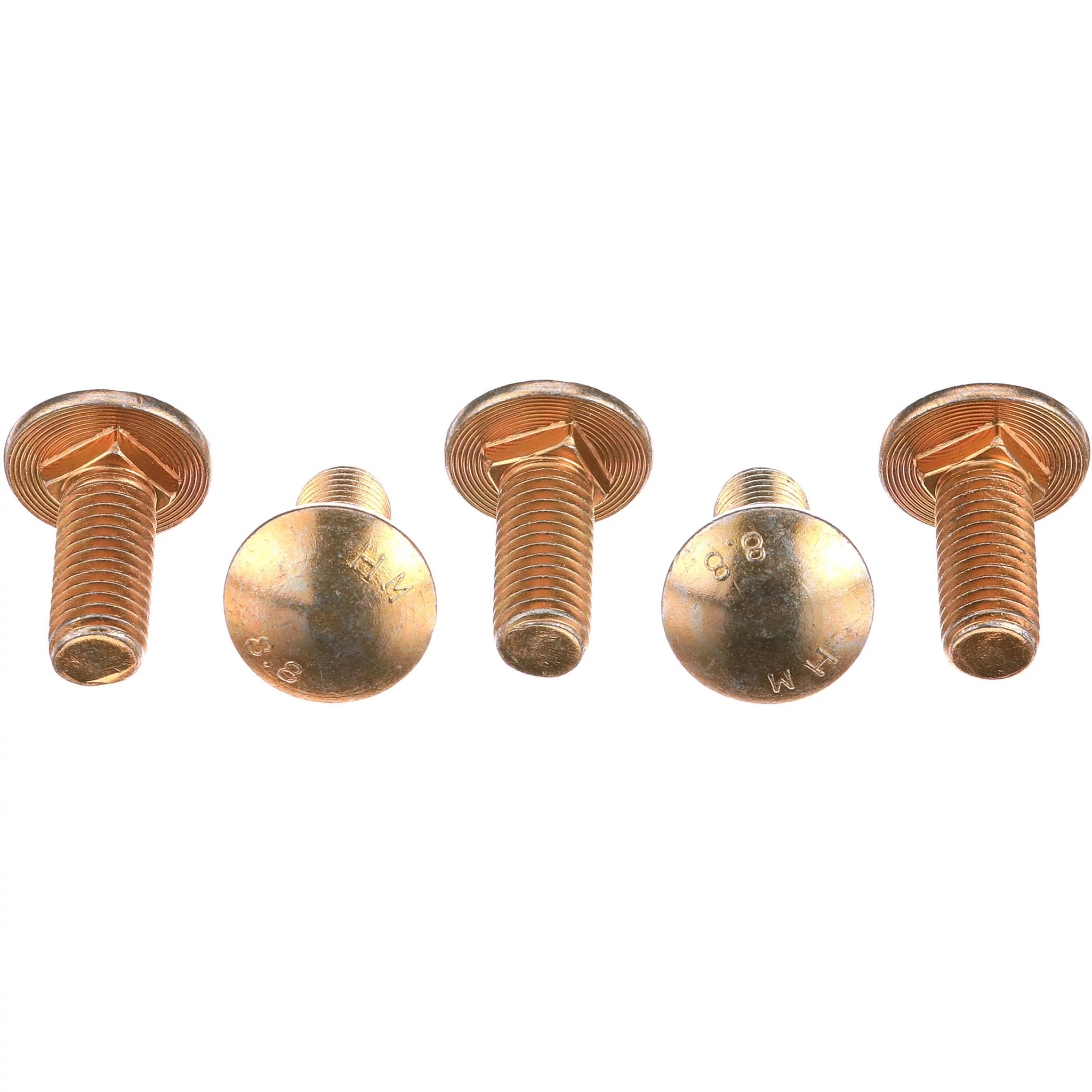 BULLONE TESTA TONDA | CASECE | EU | IT