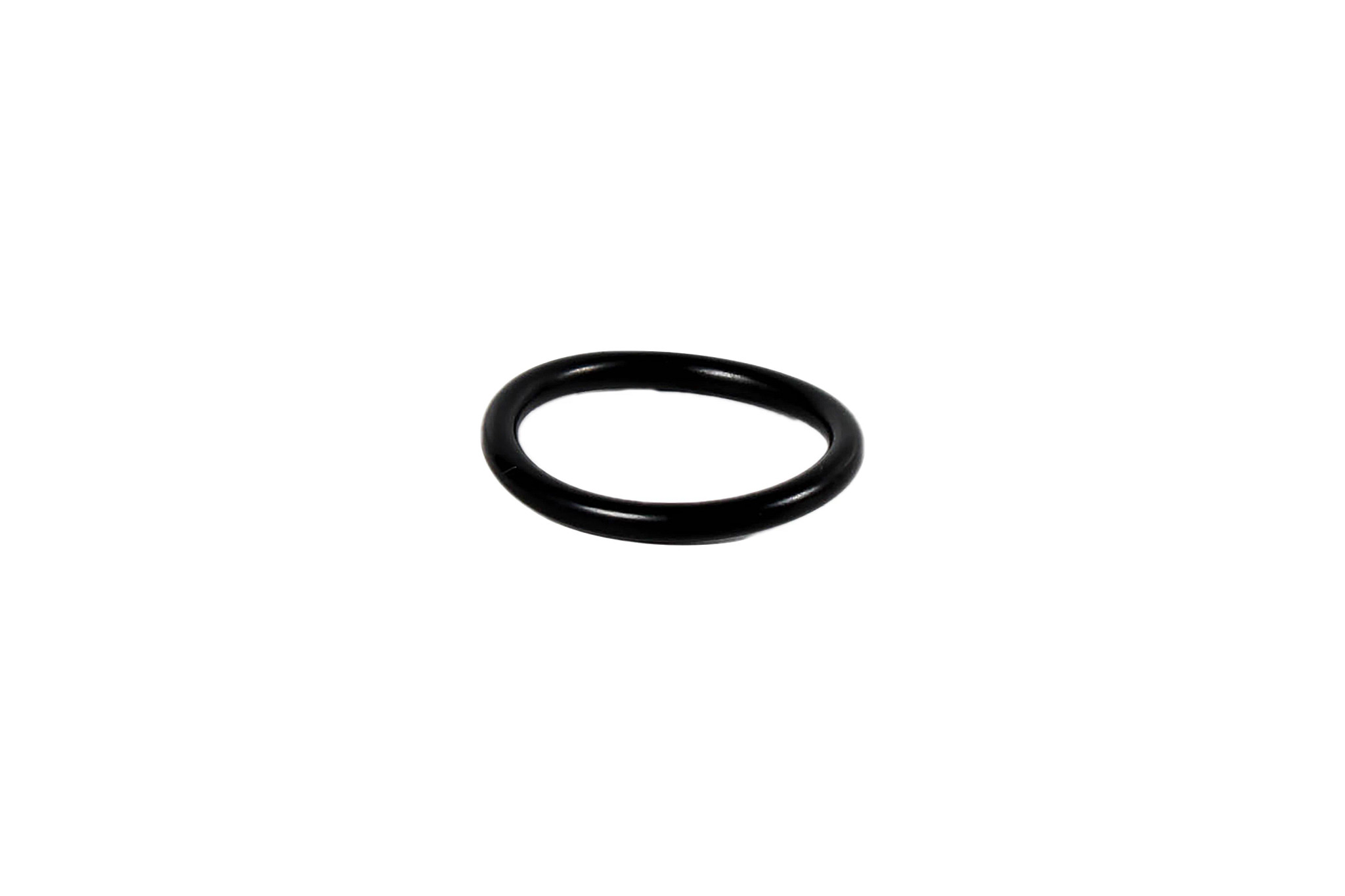 O-RING | CASECE | ANZ | EN