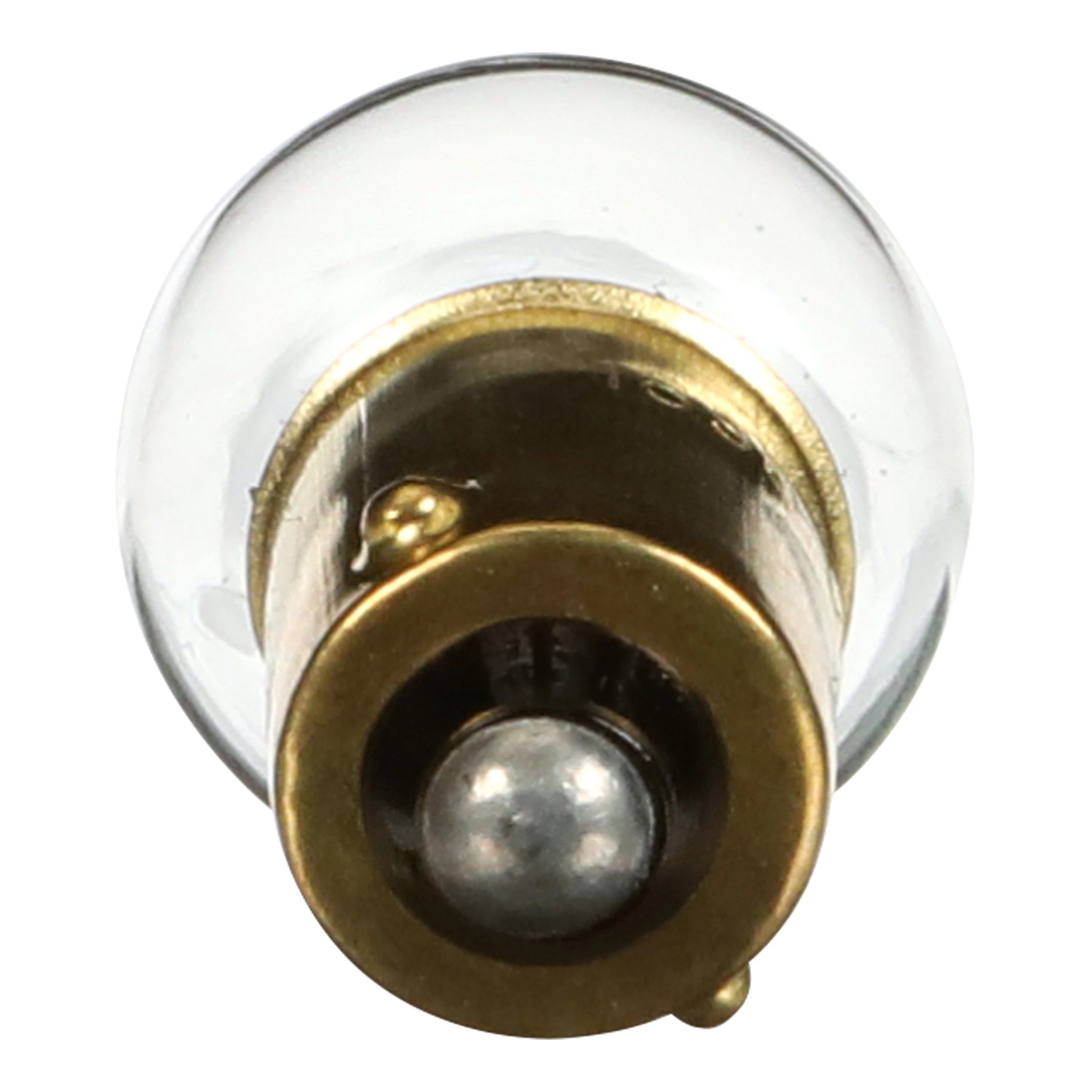 AMPOULE | CASECE | CA | FR