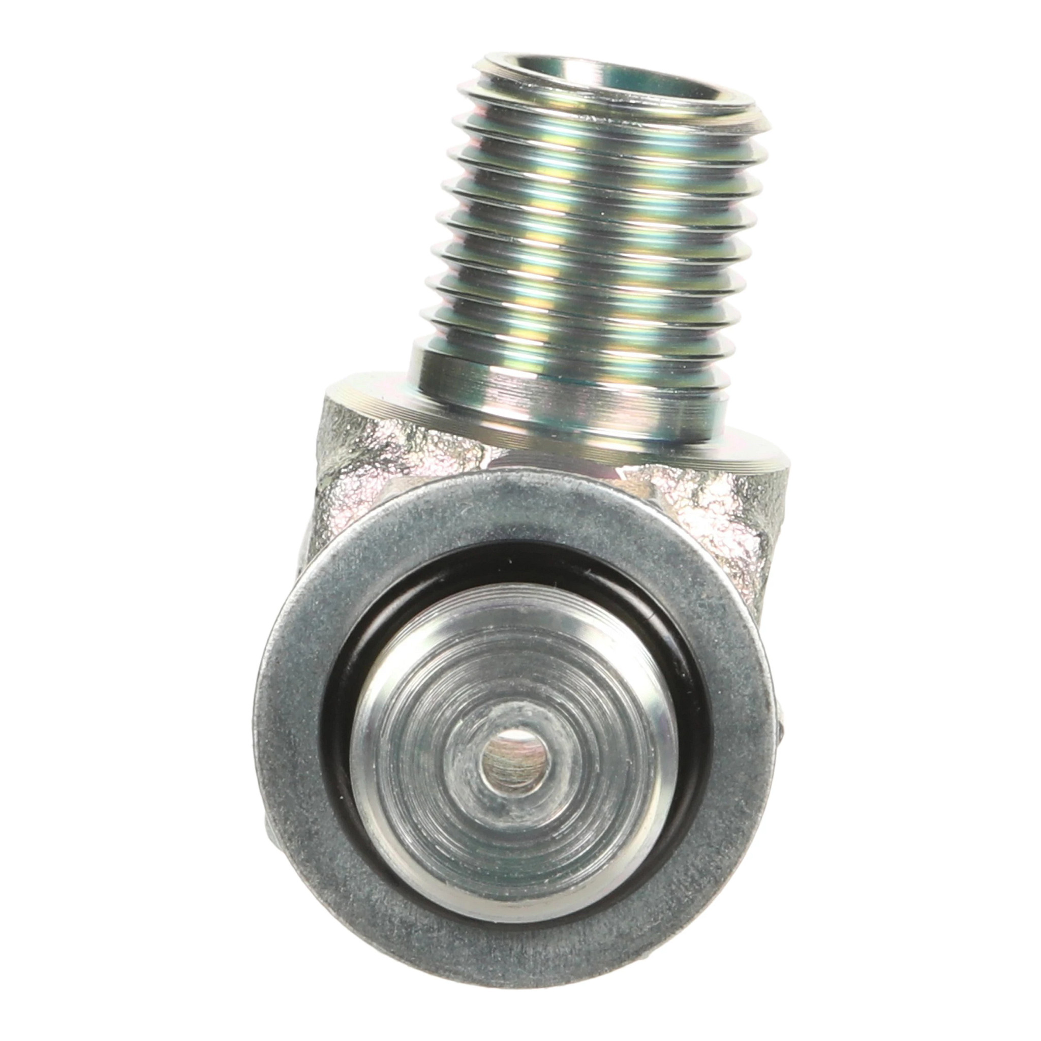 ORIFICE | CASECE | AMEA | EN