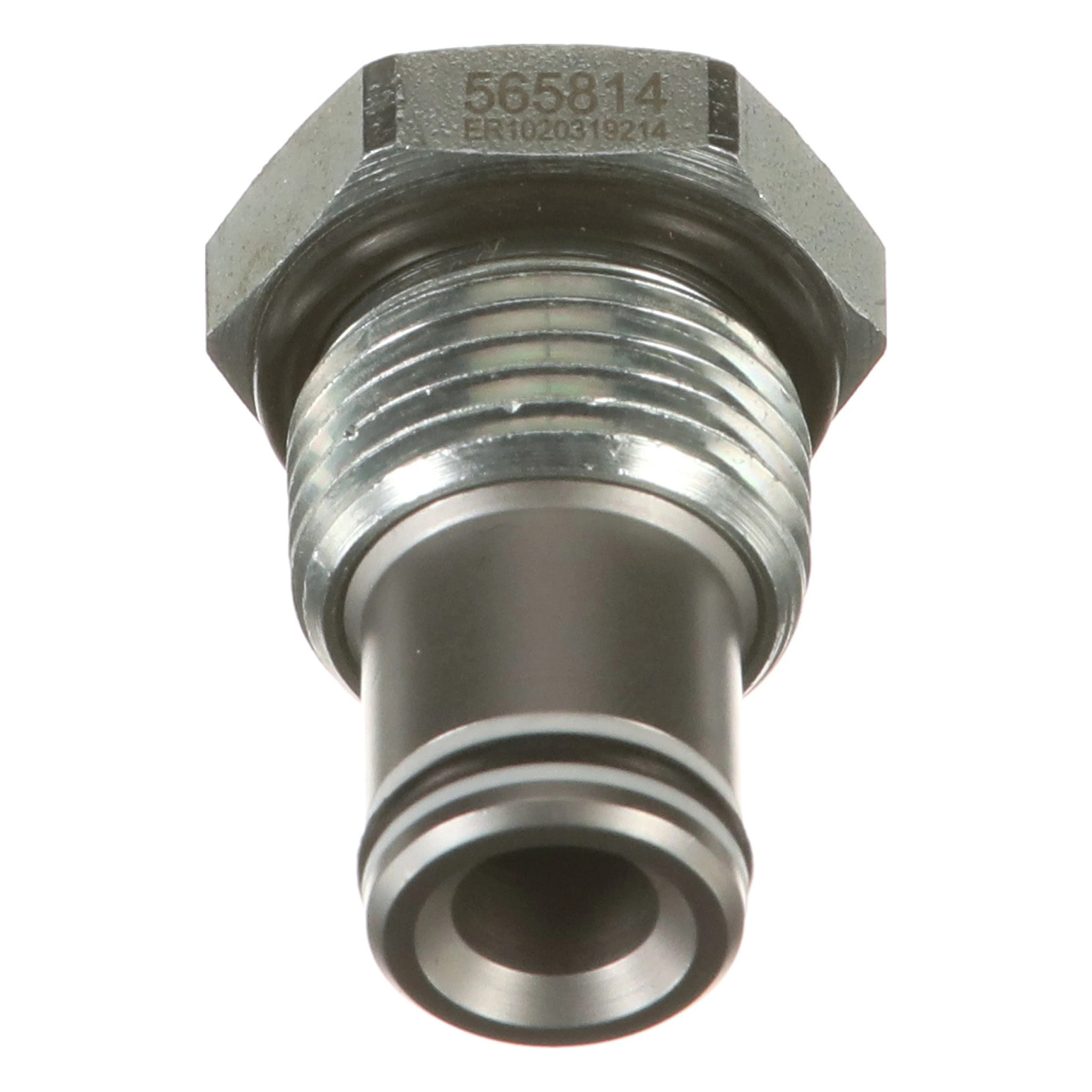 PLUG | CASECE | US | EN