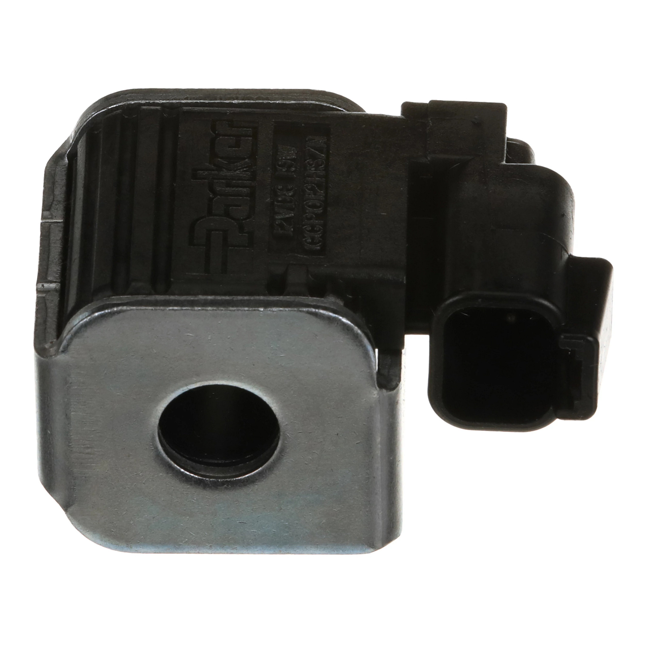 COIL | CASECE | CA | EN