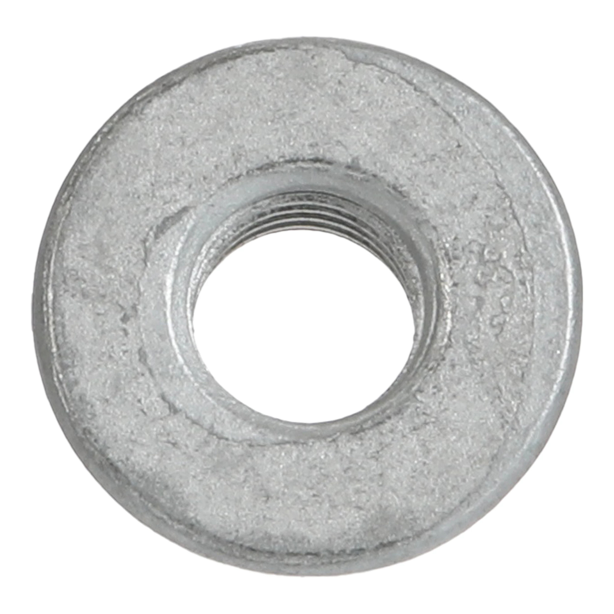 NUT | MILLER | CA | EN