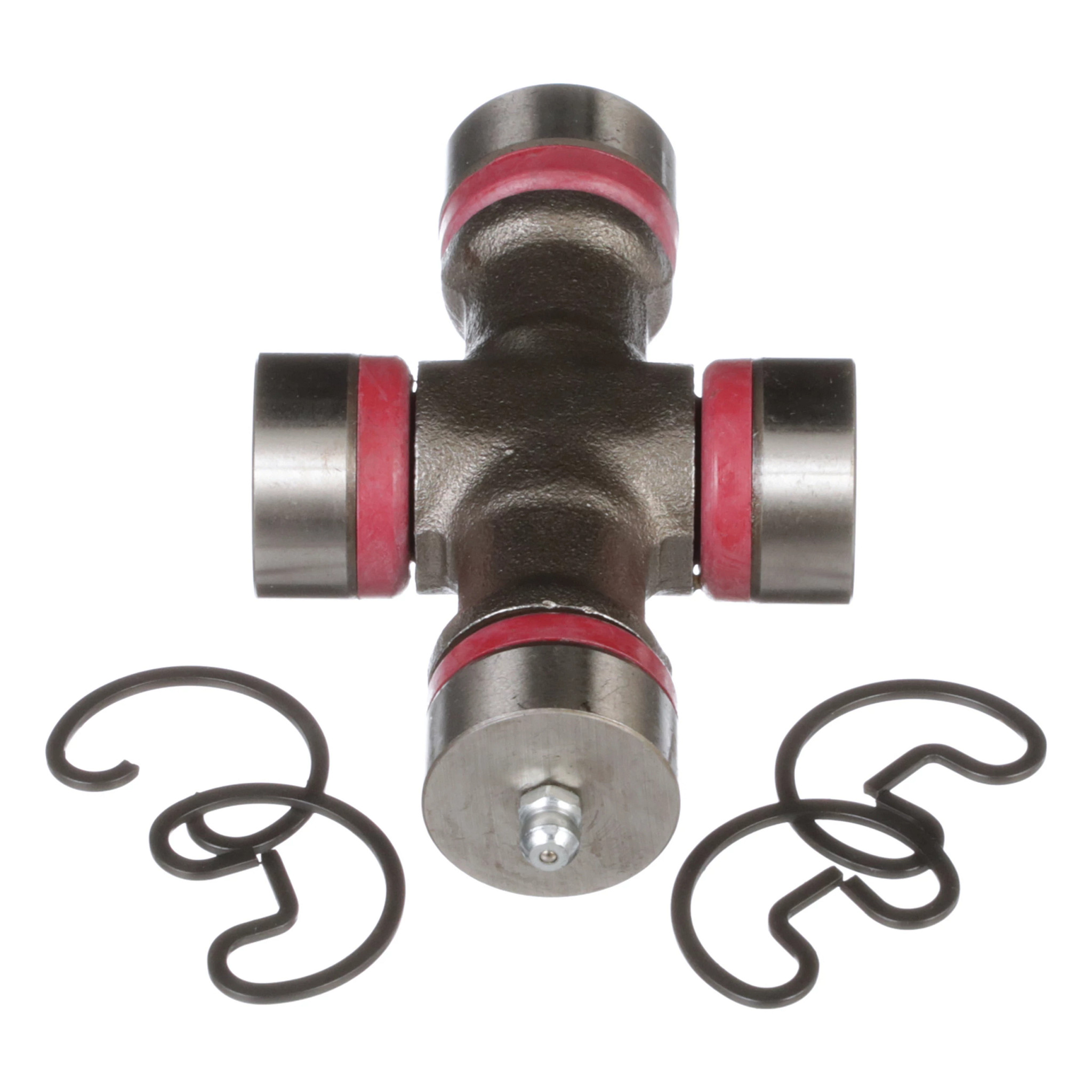 SPIDER | CASECE | CA | EN