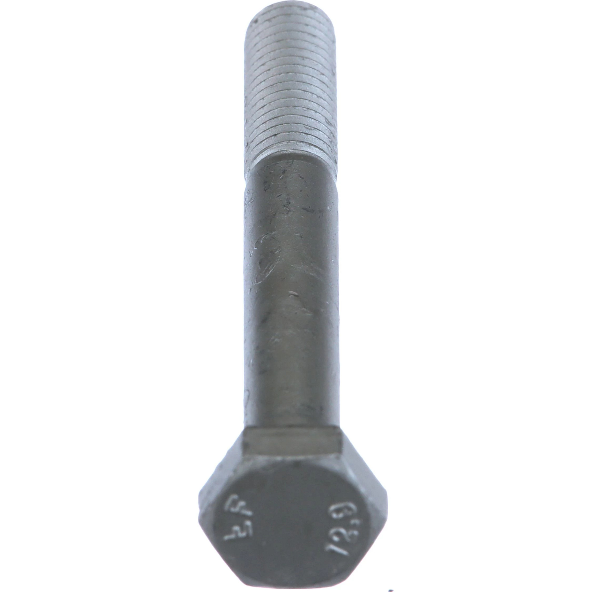 BOLT | CASECE | CA | EN