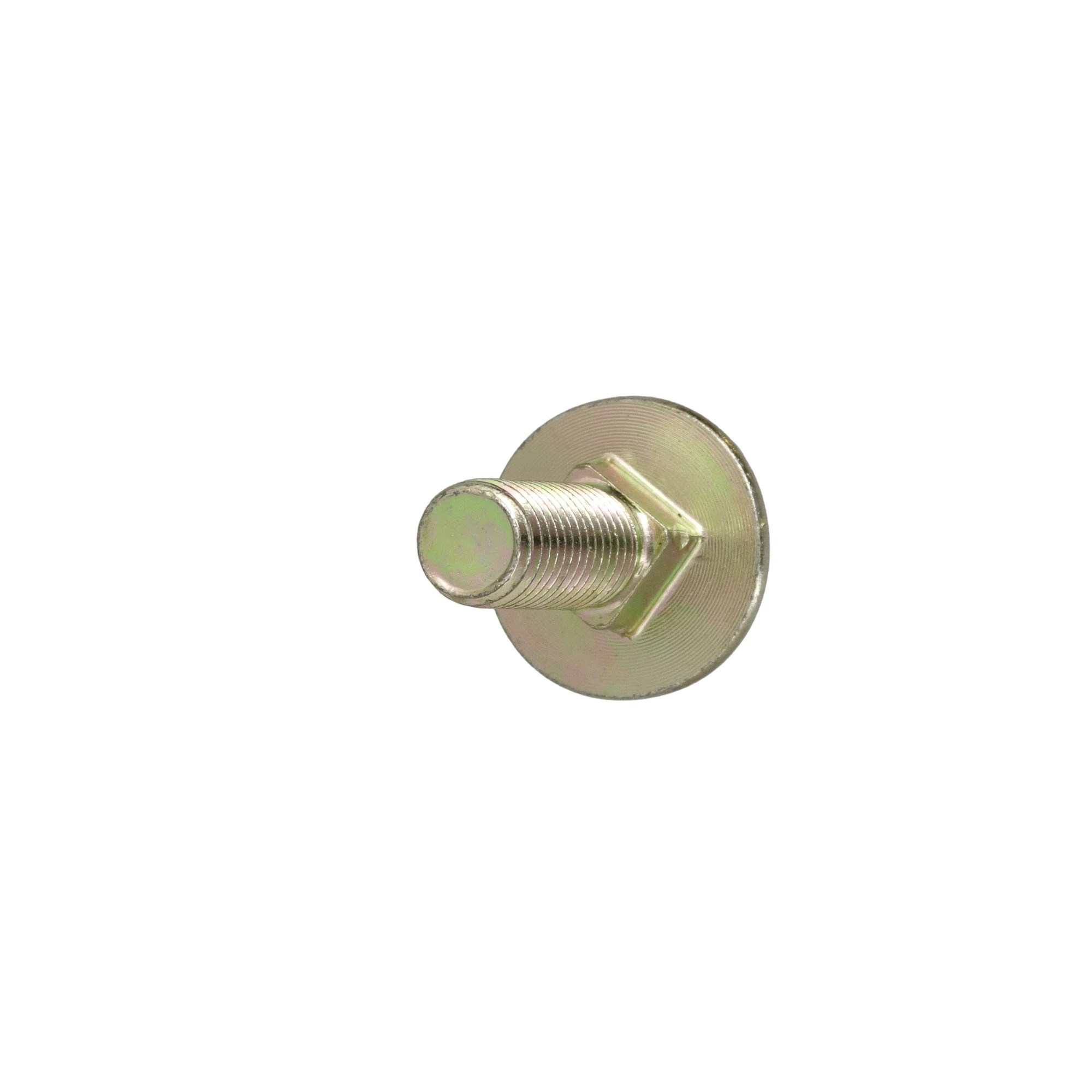 CARRIAGE BOLT | CASECE | US | EN