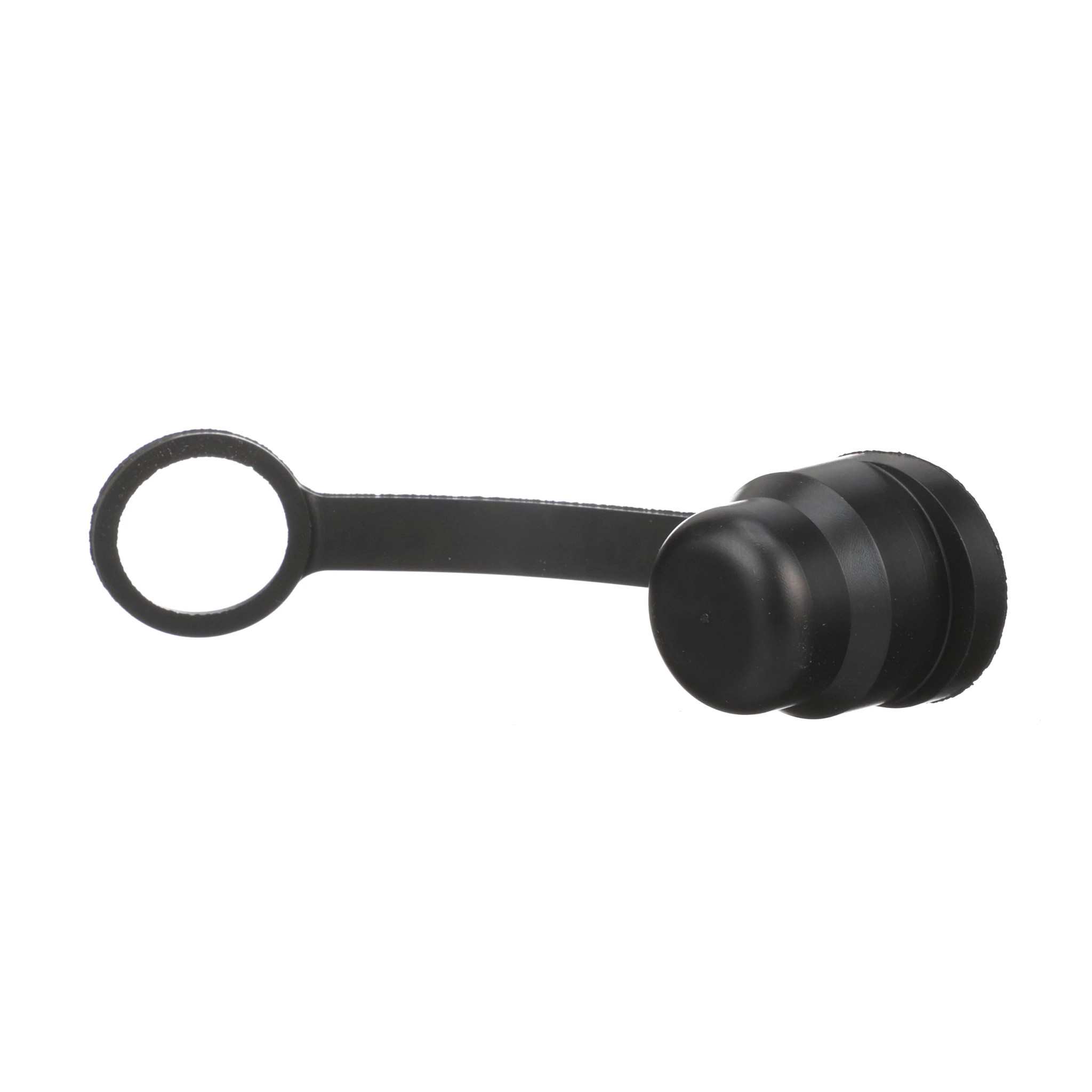 Dust Cap | CASECE | BR | PT