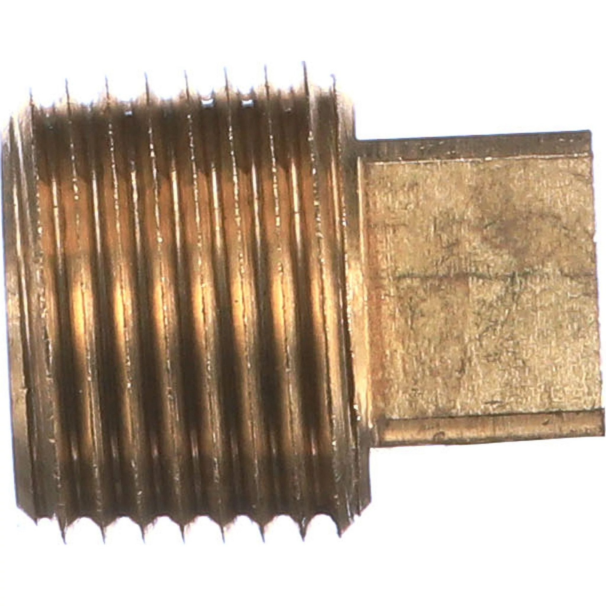 PLUG | CASECE | EU | EN