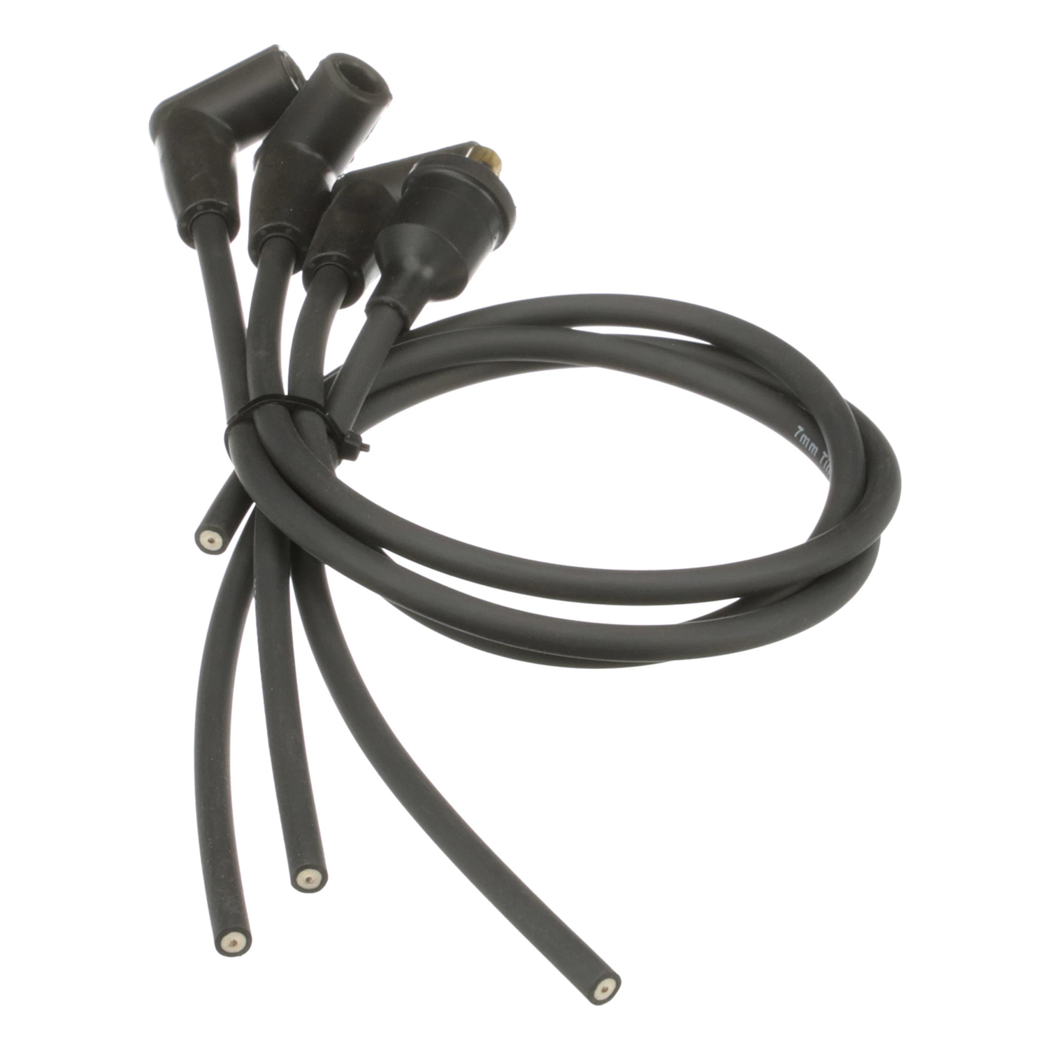 KIT | CASECE | US | EN