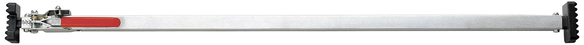 SecureBar™ CargoBar | CASEIH | CA | EN