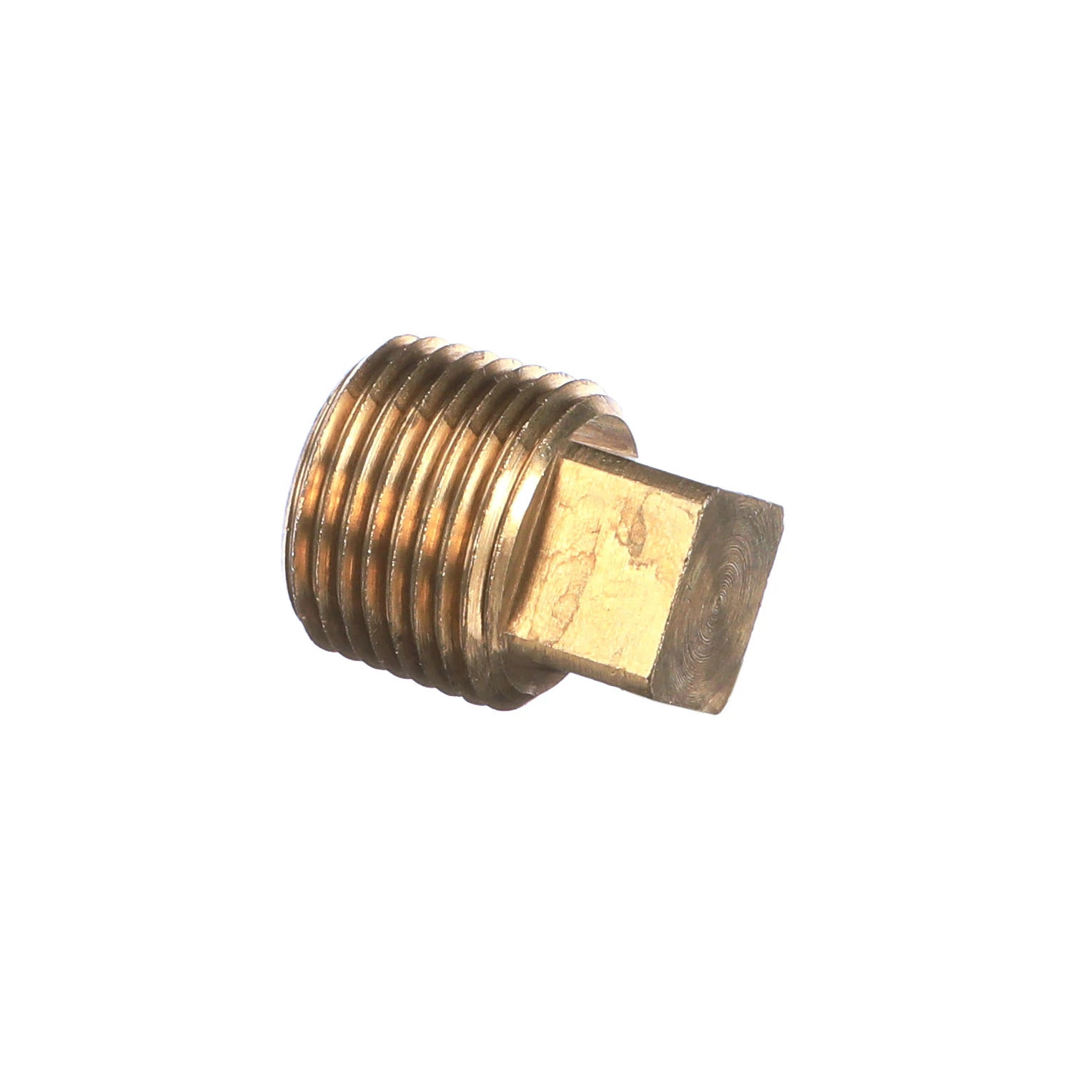 Bujão | CASECE | BR | PT