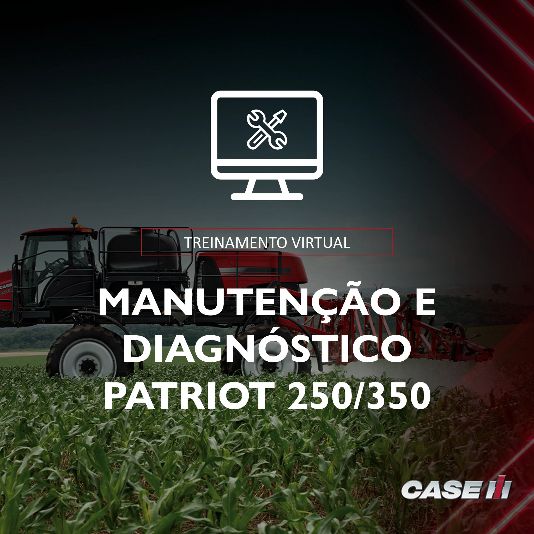 Treinamento Virtual Manutenção Avançada e Diagnóstico  - Patriot 250/350