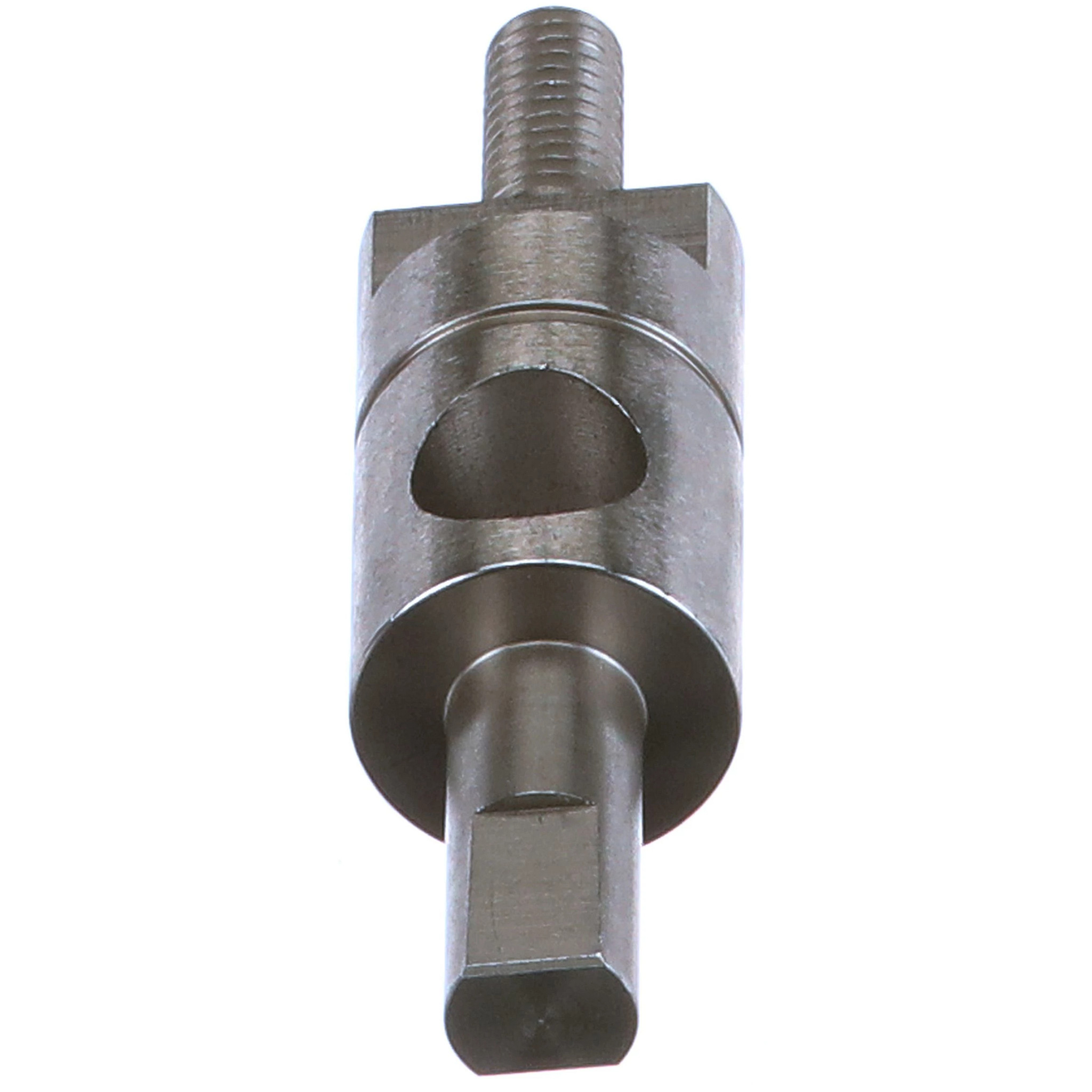 ALBERO | CASEIH | EU | IT