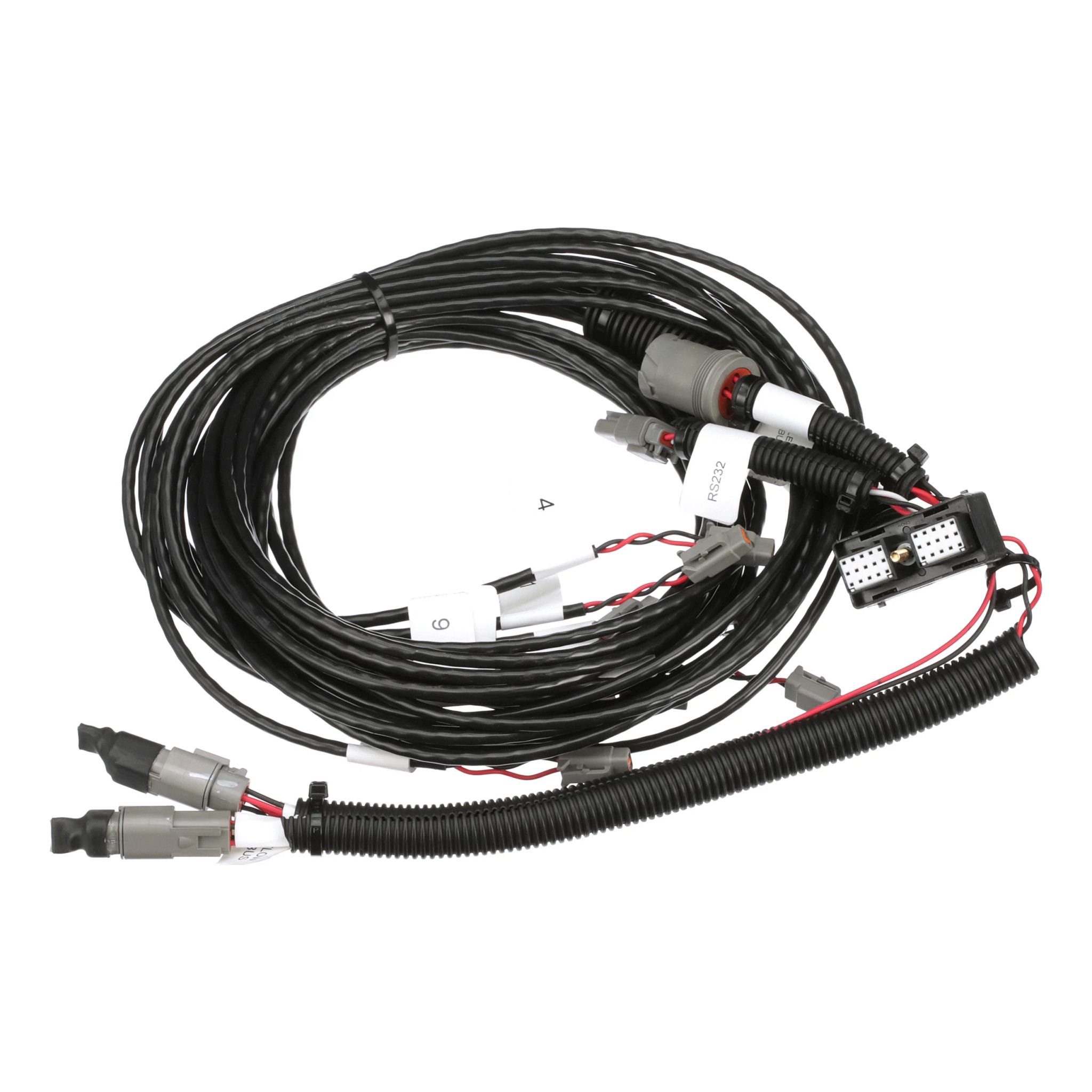 HARNESS | CASECE | EU | EN