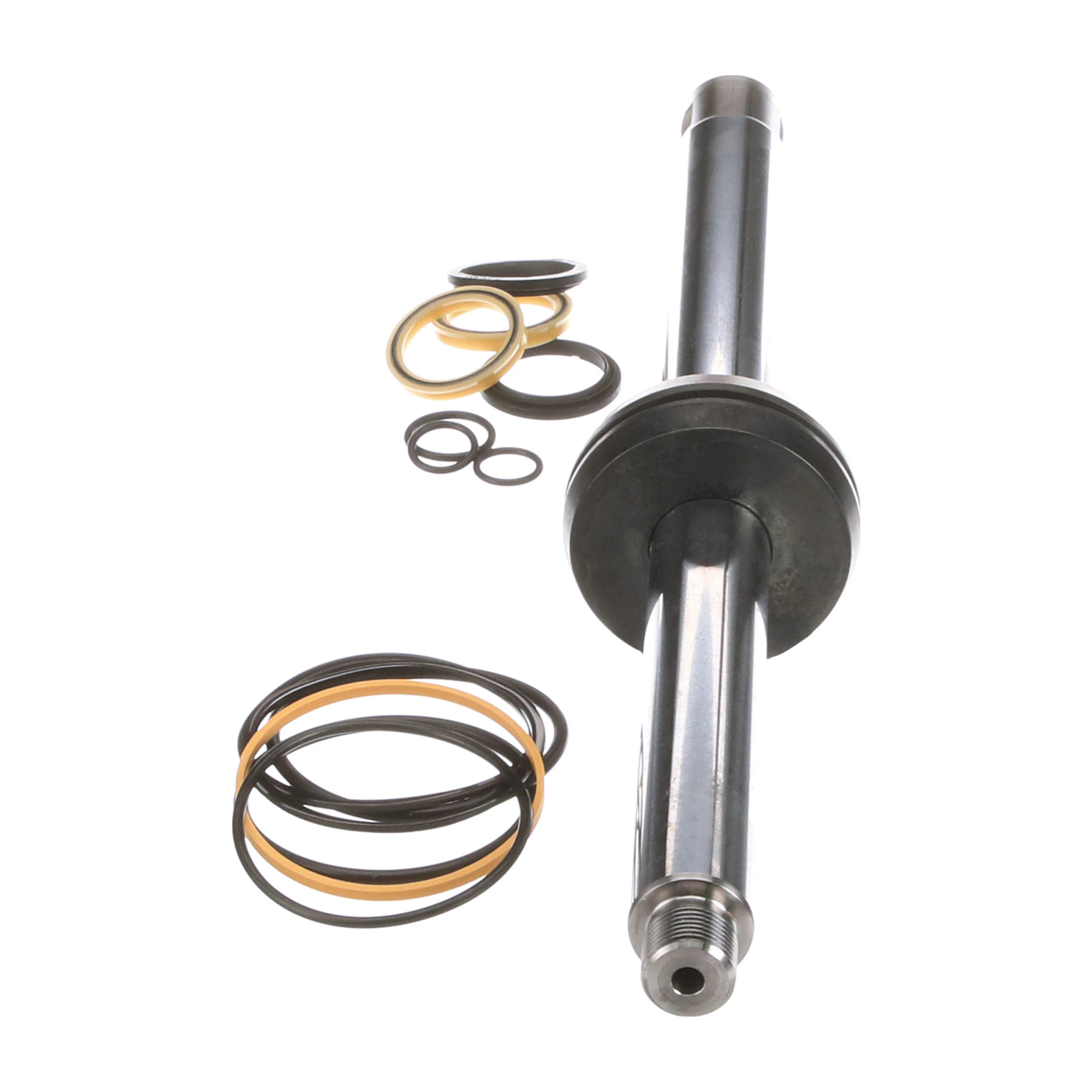 ROD | CASECE | US | EN