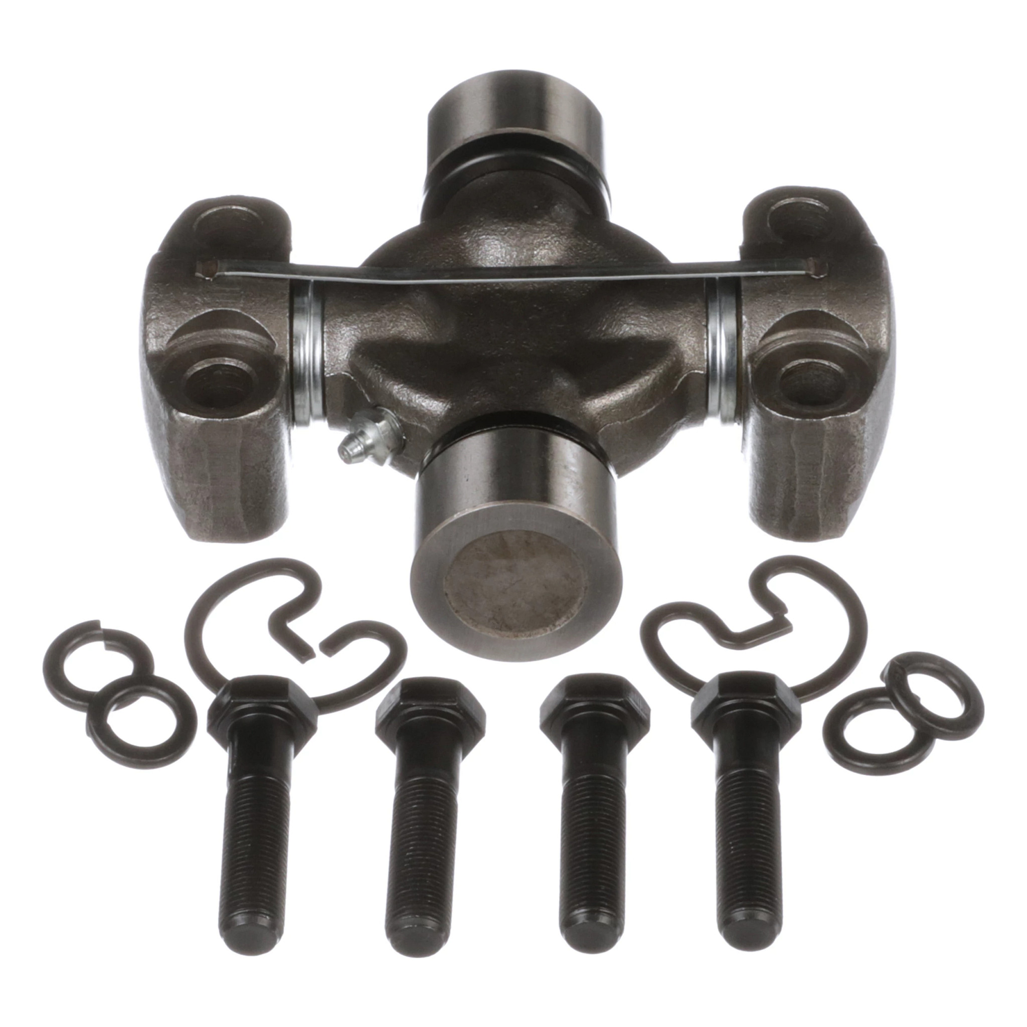 SPIDER | CASECE | US | EN