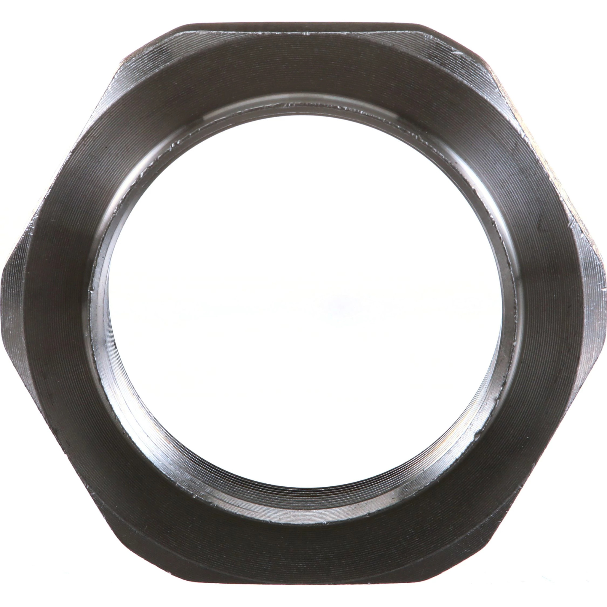 NUT | NEWHOLLANDAG | CA | EN