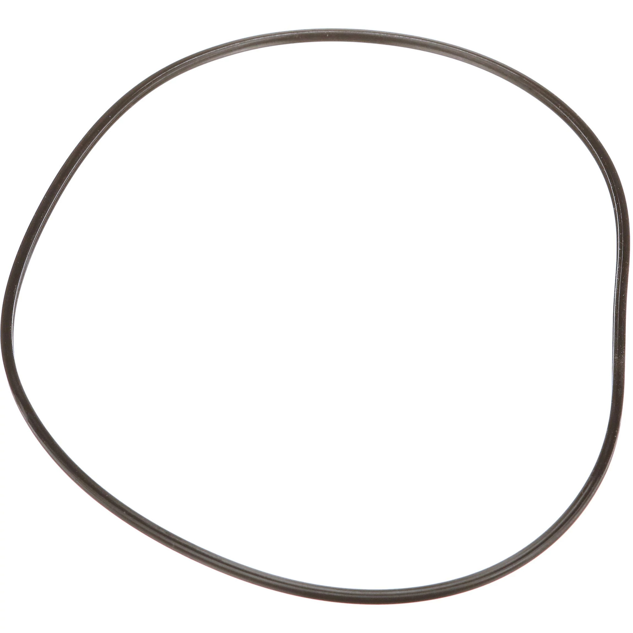 GUARNIZIONE, TENUTA | NEWHOLLANDAG | IT | IT