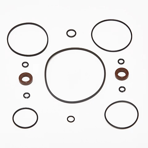 SEAL KIT | CASEIH | IE | EN