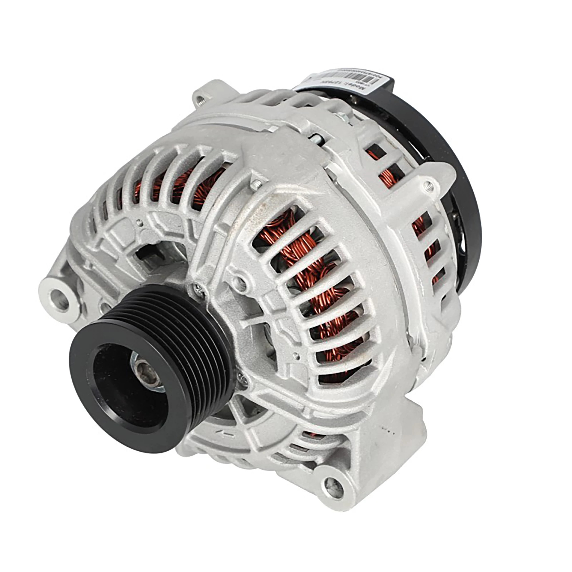 Alternator with Pulley - Bosch-Style | CASECE | CA | FR