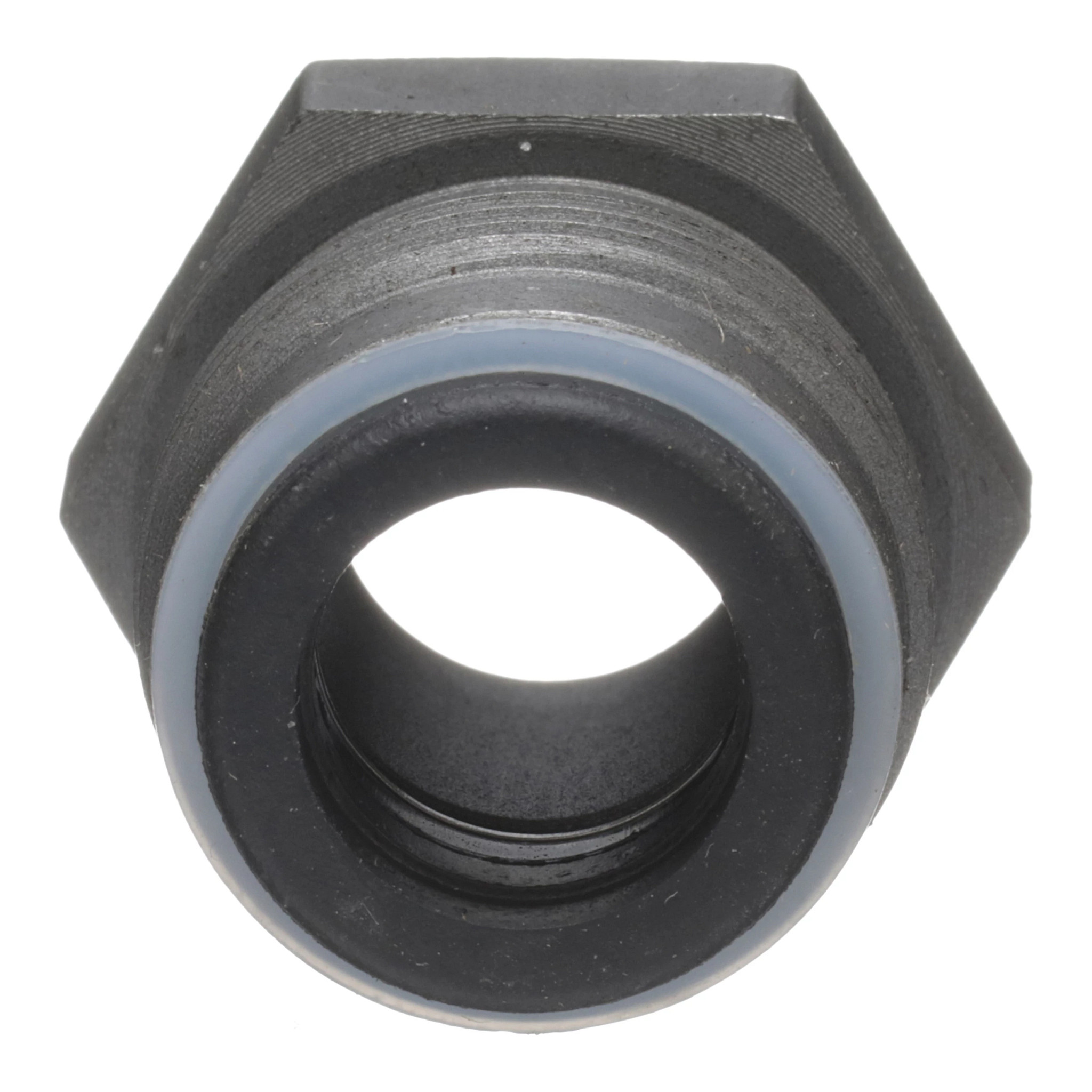 NUT | CASECE | US | EN