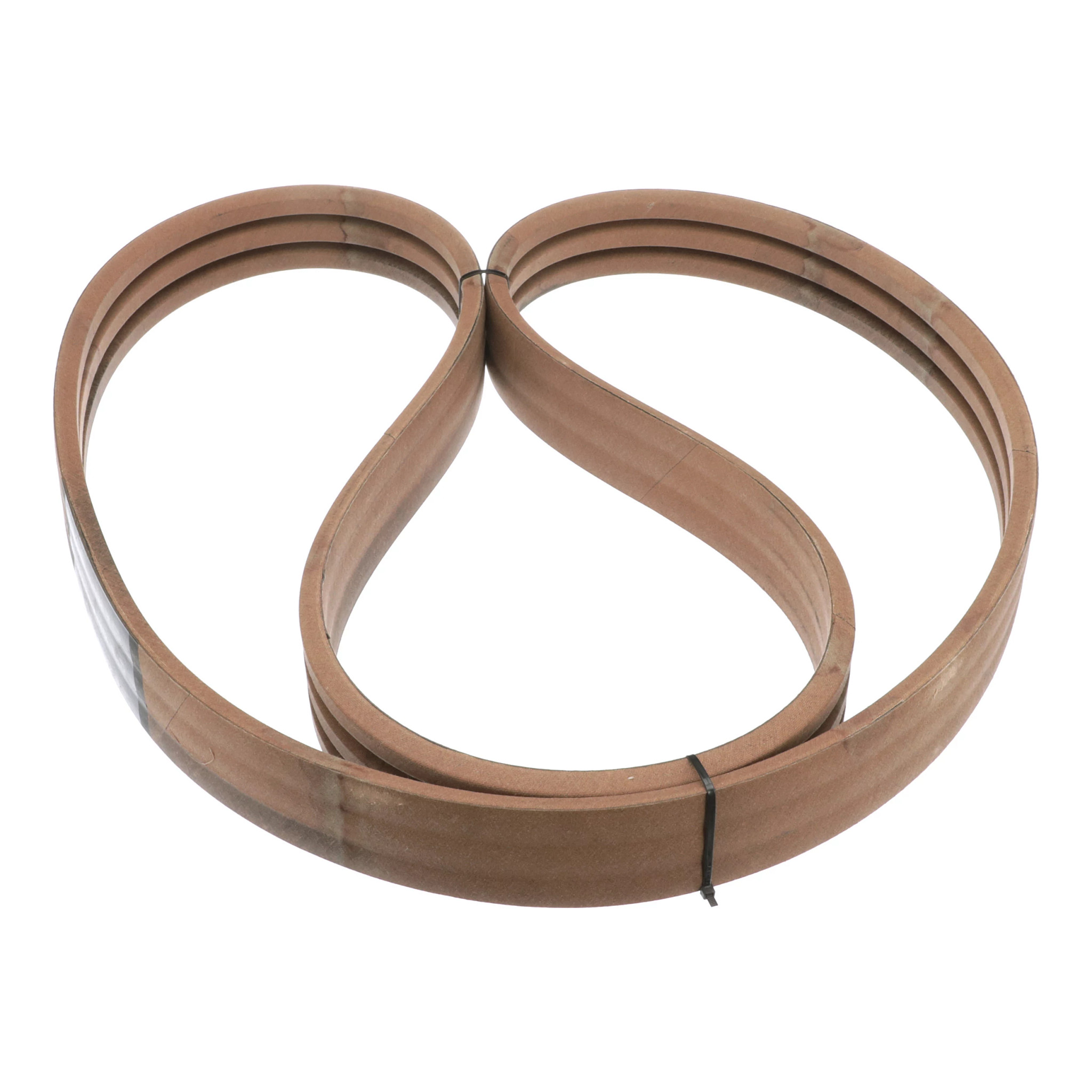 BELT | CASECE | SA | EN