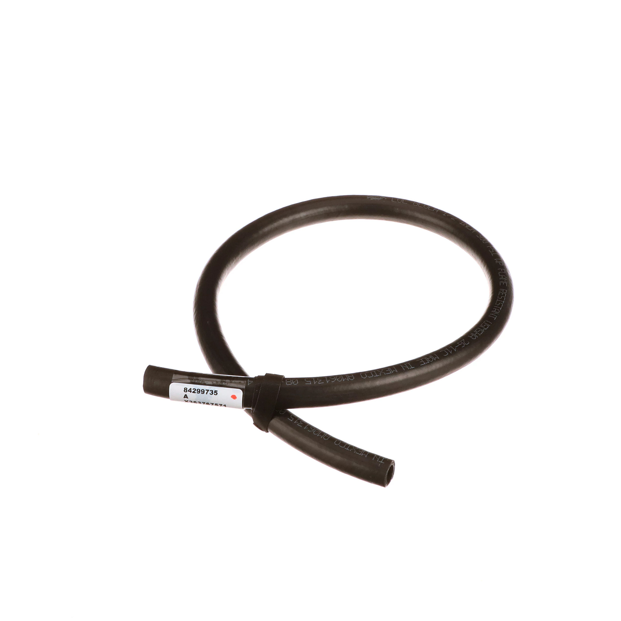 MANGUEIRA | CASECE | BR | PT