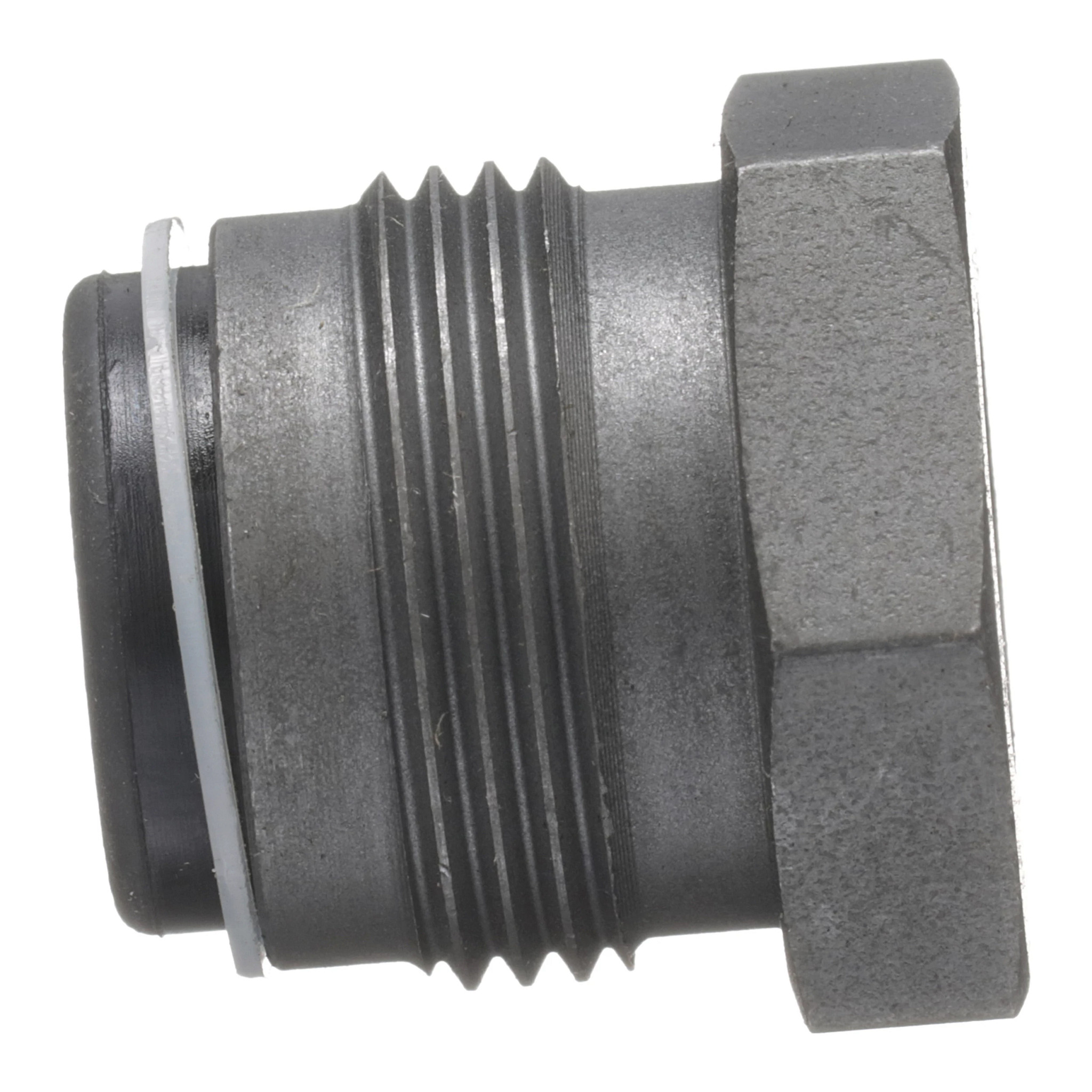 NUT | CASECE | US | EN