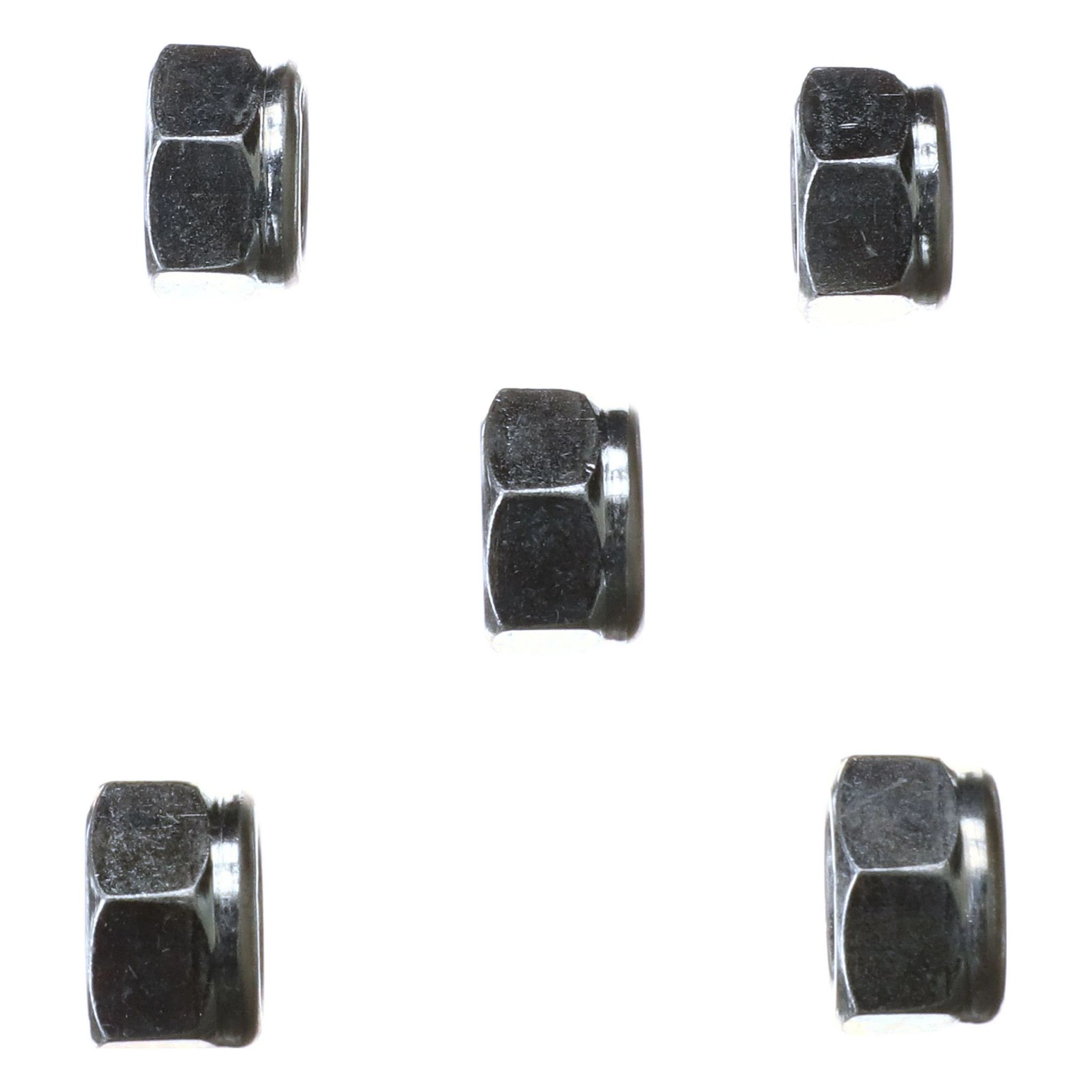 NUT | CASECE | AMEA | EN