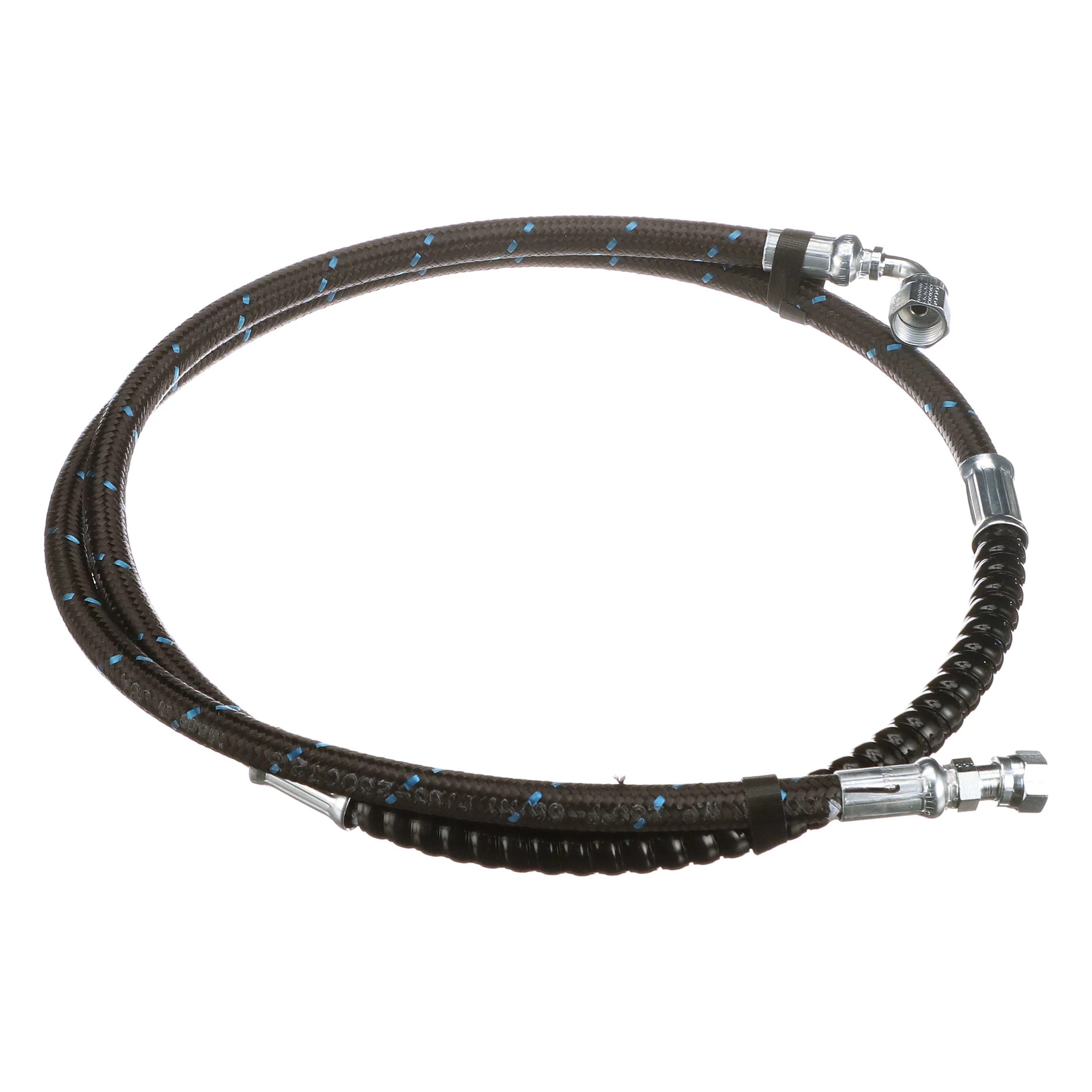 MANGUEIRA | CASECE | SA | EN