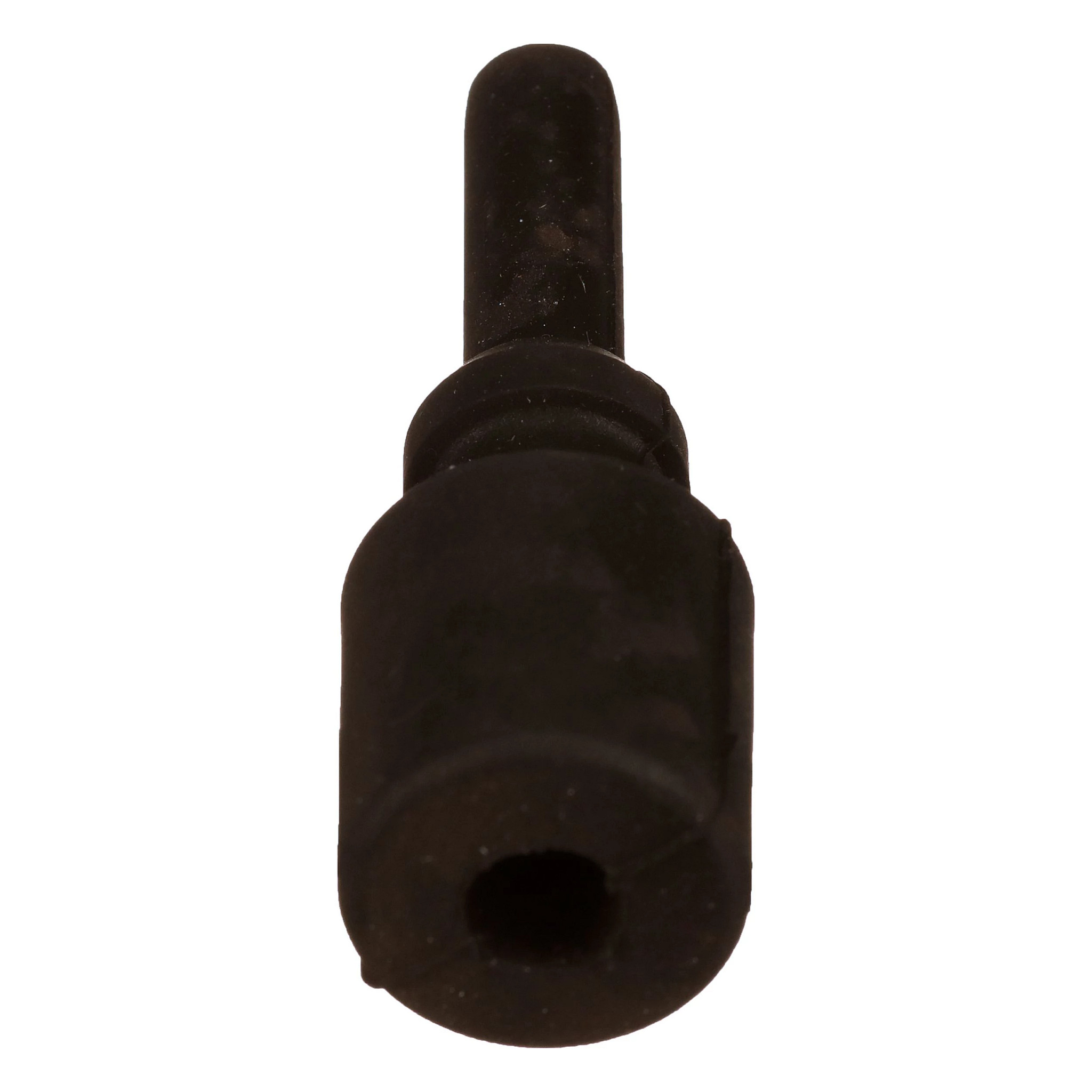 PLUG | CASECE | US | EN