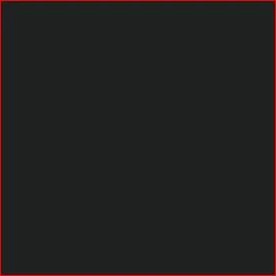 MS 16 Hi-Temp Black Enamel Paint - 300 ml Aerosol Can | CASEIH | NZ | EN