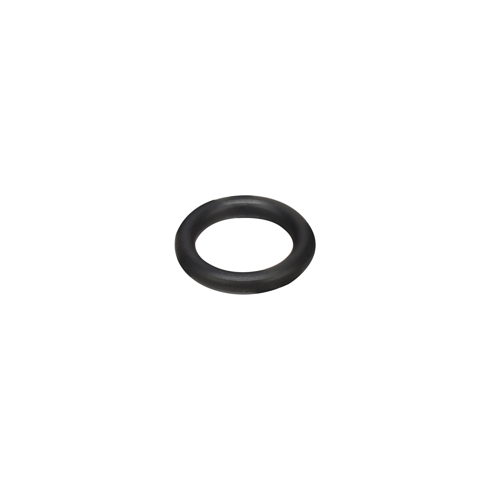 O-RING | CASECE | ANZ | EN