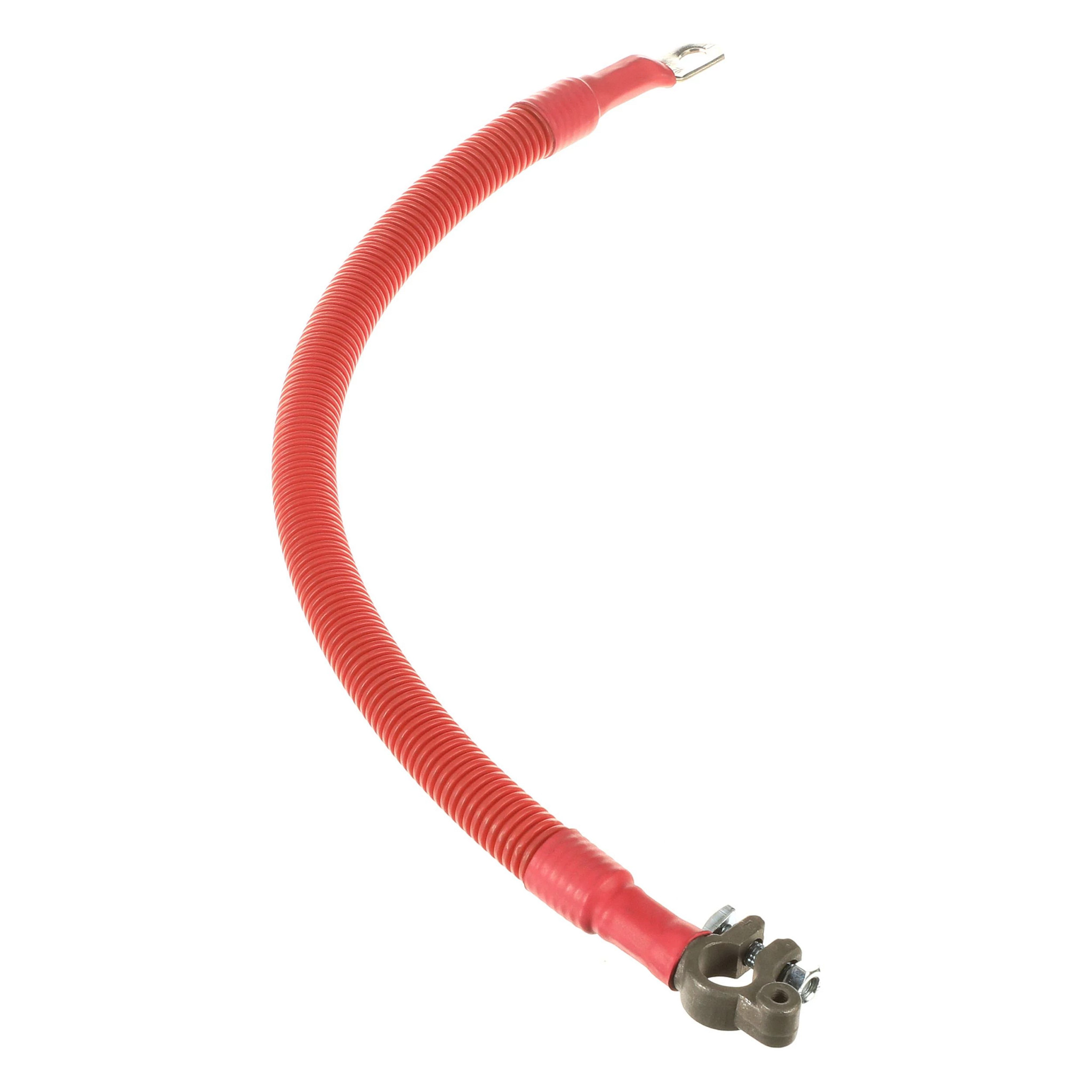 CABLE | CASECE | NZ | EN