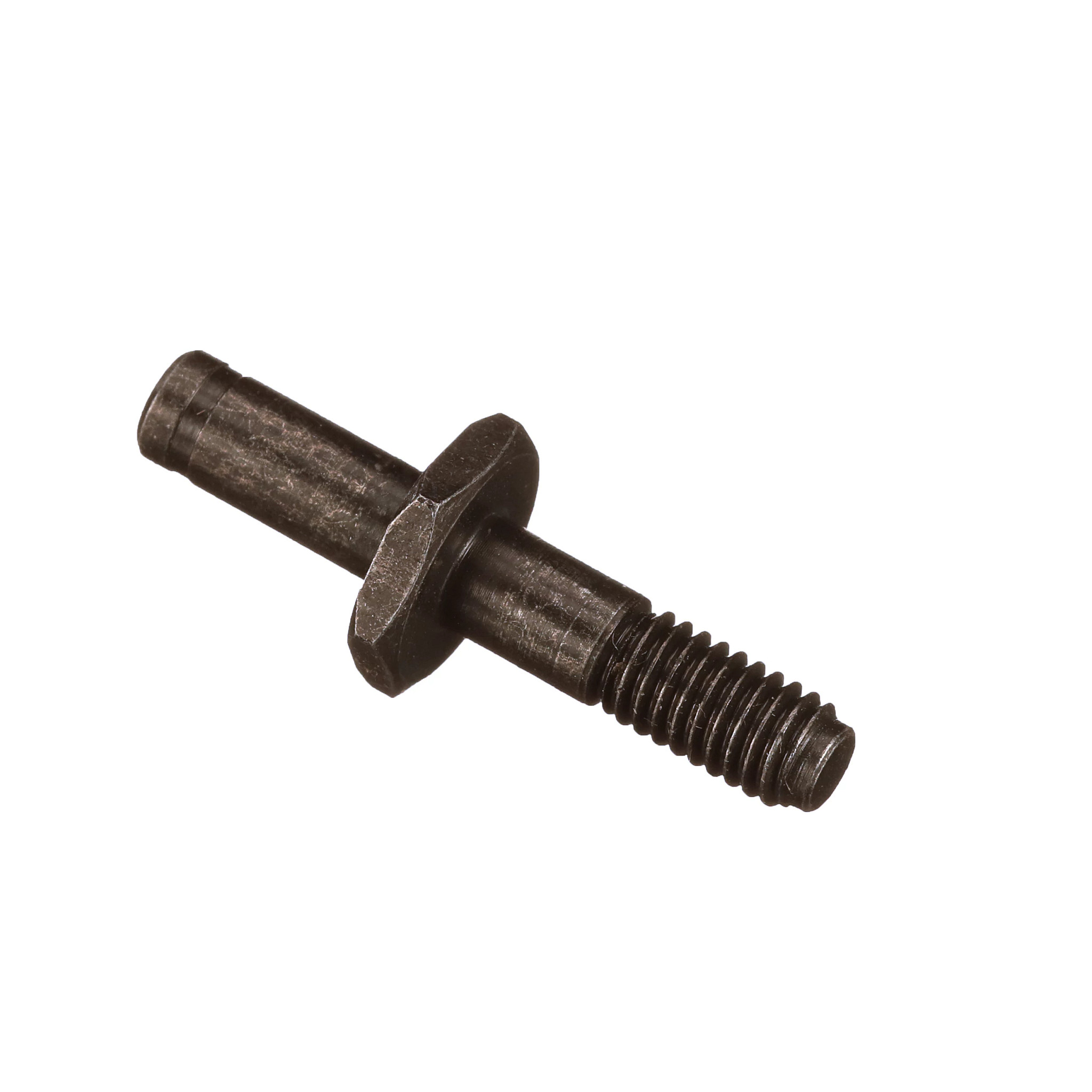 Pino | CASECE | BR | PT