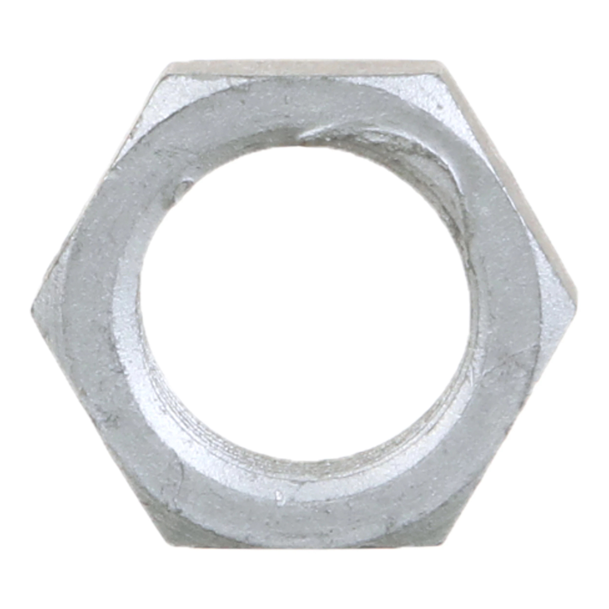 THIN NUT | CASECE | US | EN