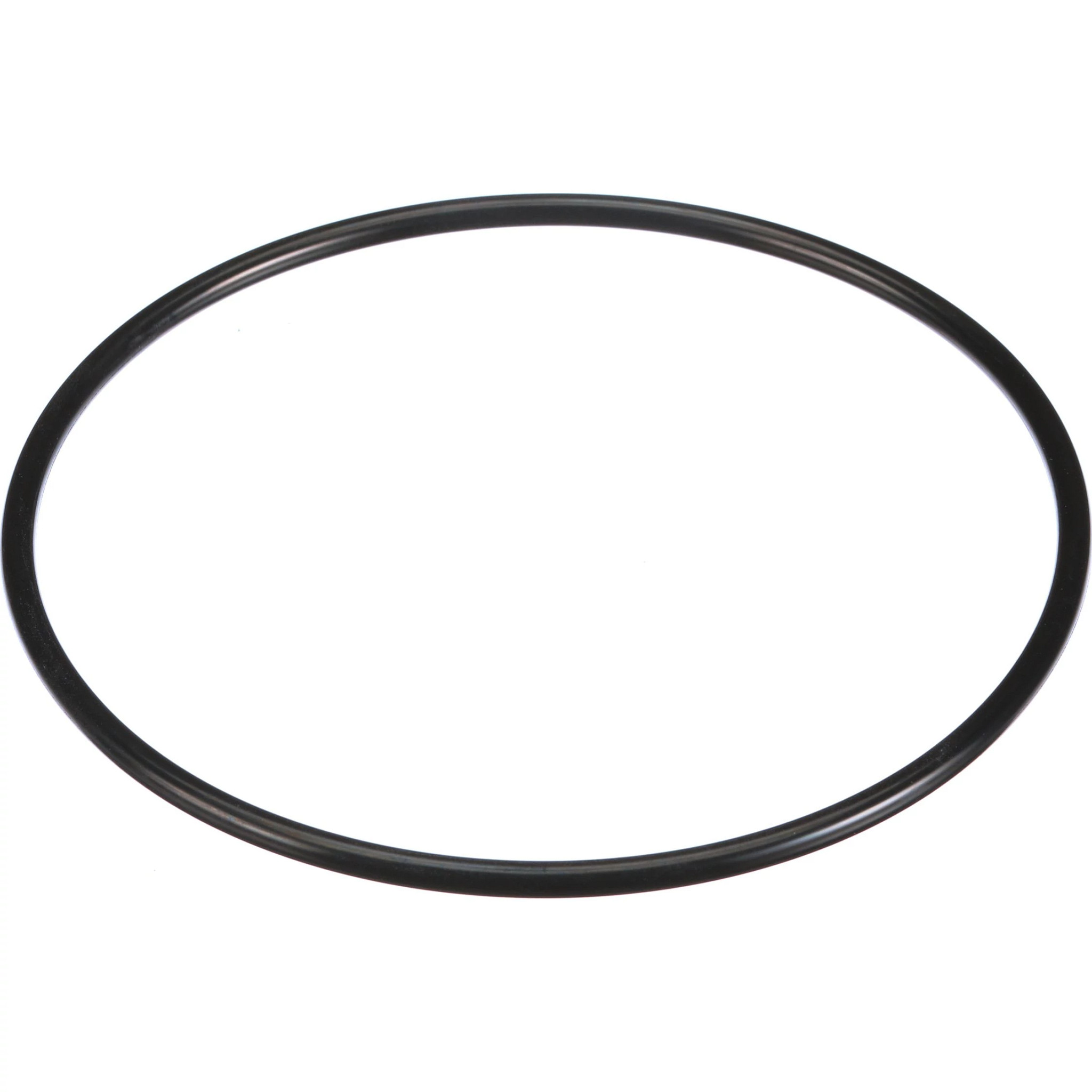 O-RING | CASEIH | US | EN