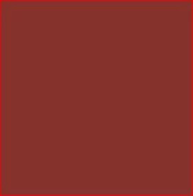 MS 43 Red Oxide Primer - Aerosol Can | CASEIH | AU | EN