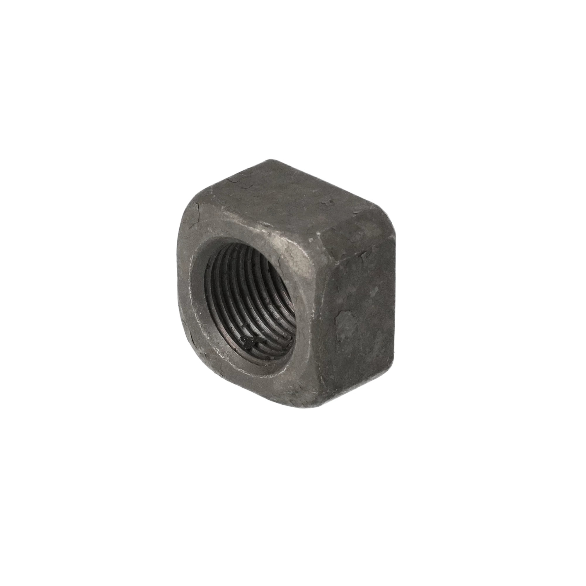 Nut | CASECE | CA | EN