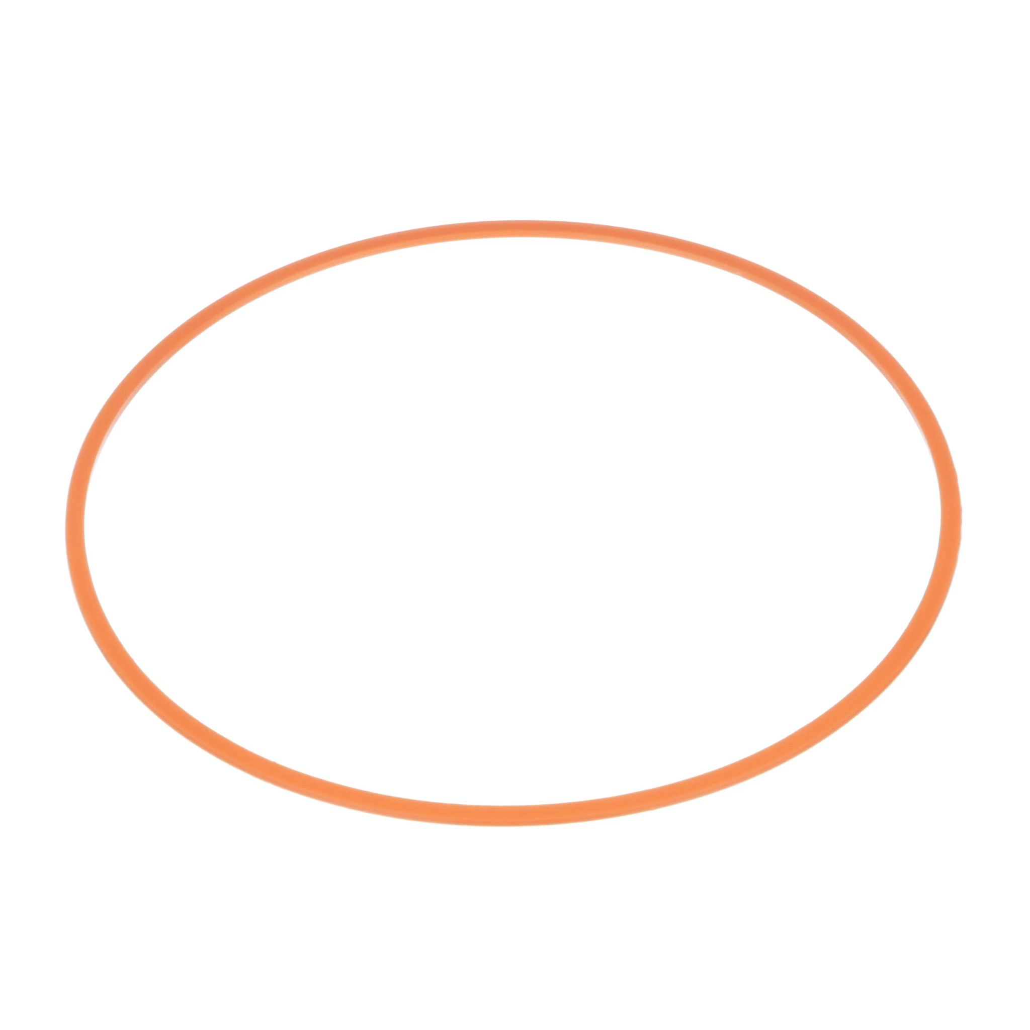 Back-Up Ring | CASECE | BR | PT