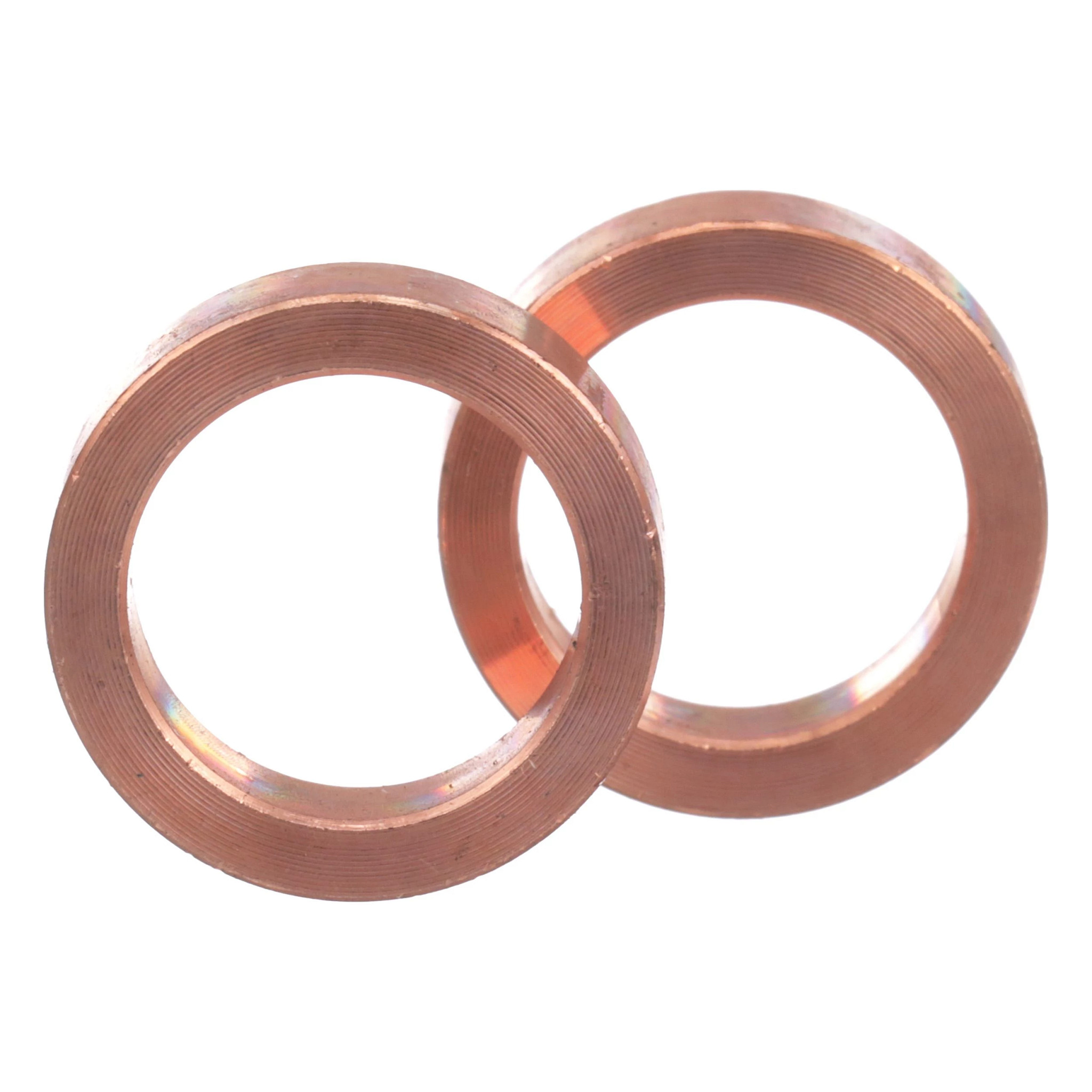 GUARNIZIONE | CASECE | EU | NL